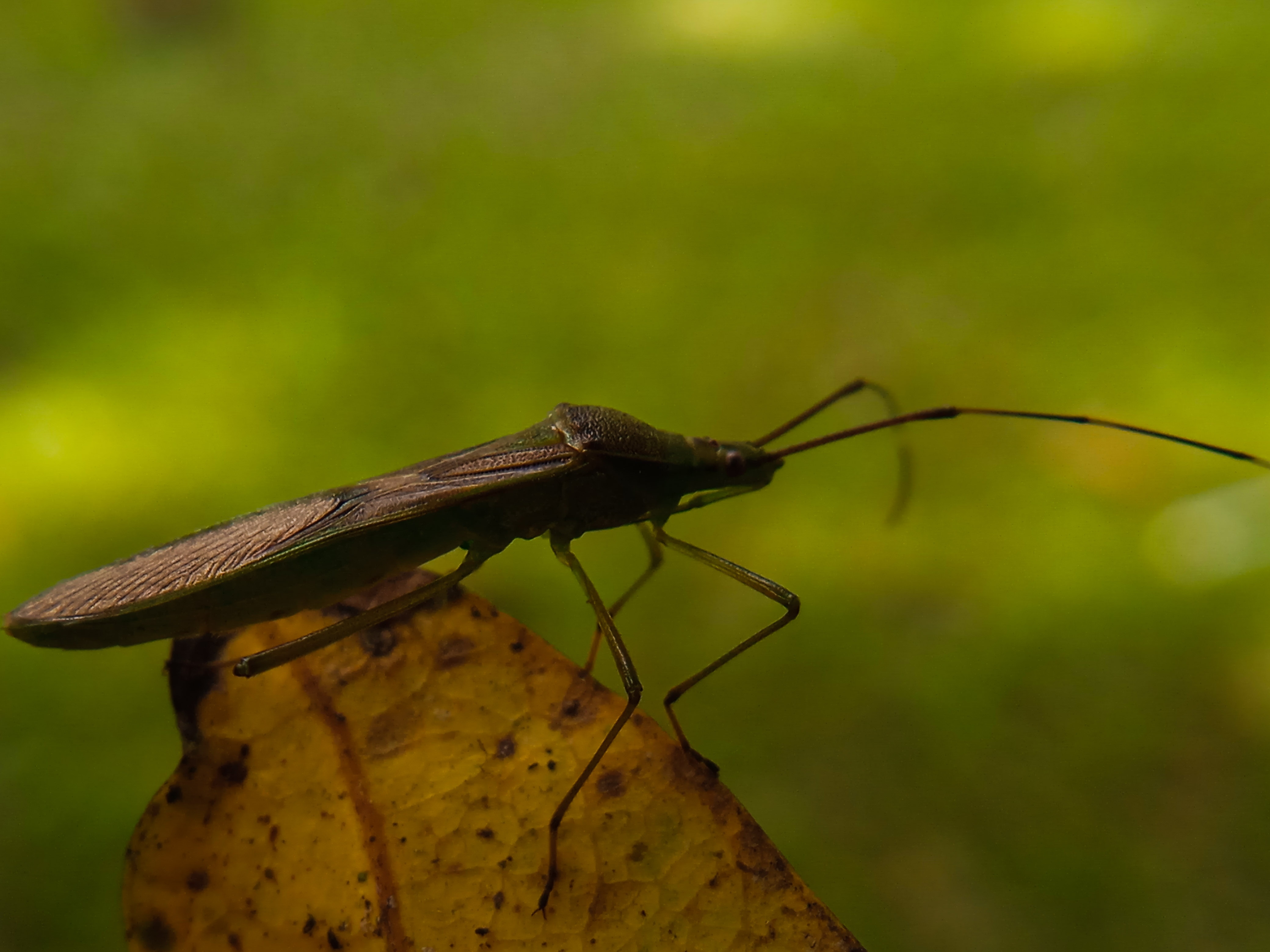 IMG_20220125_214133.jpg