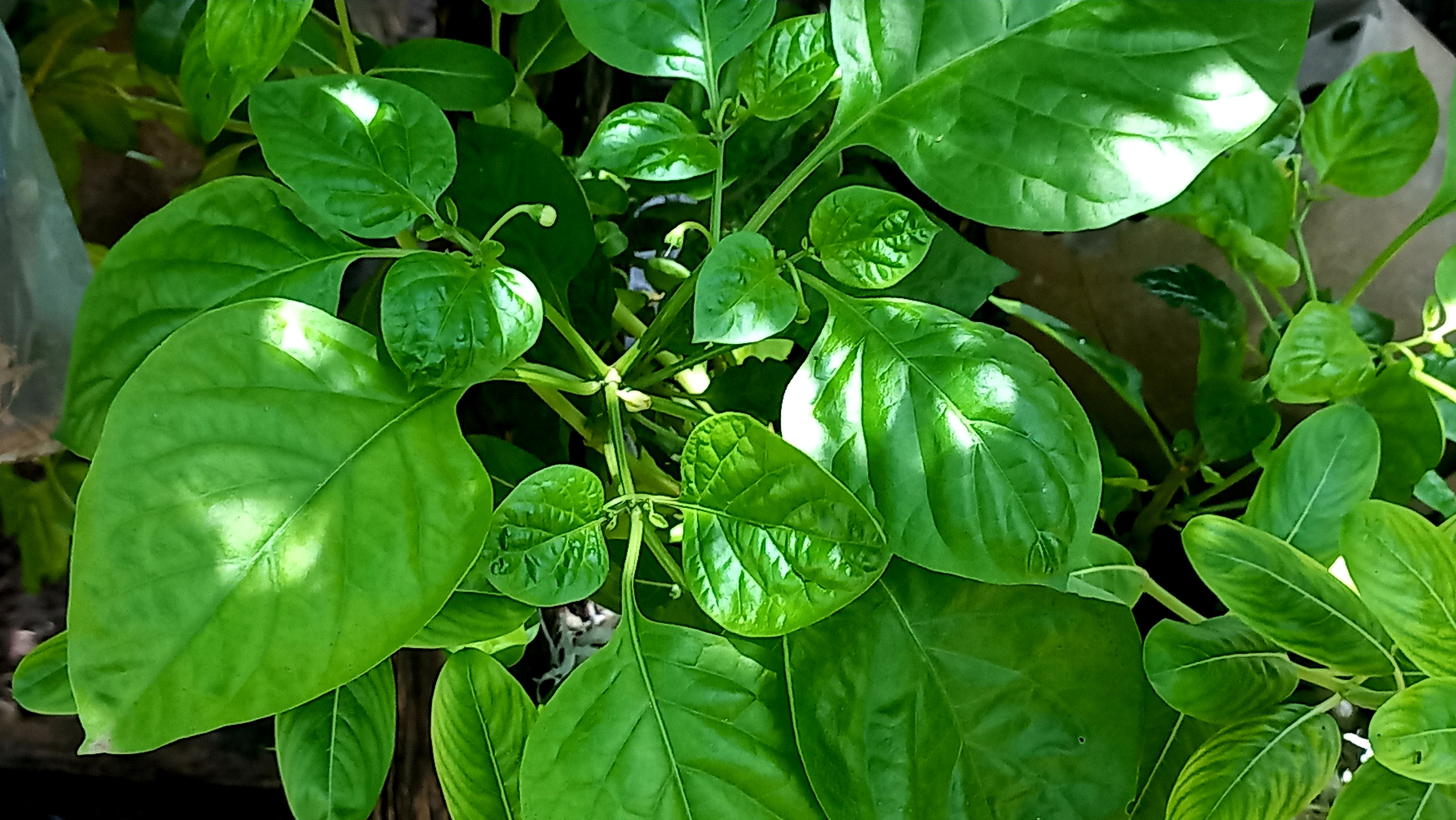 20250622_123401.jpg