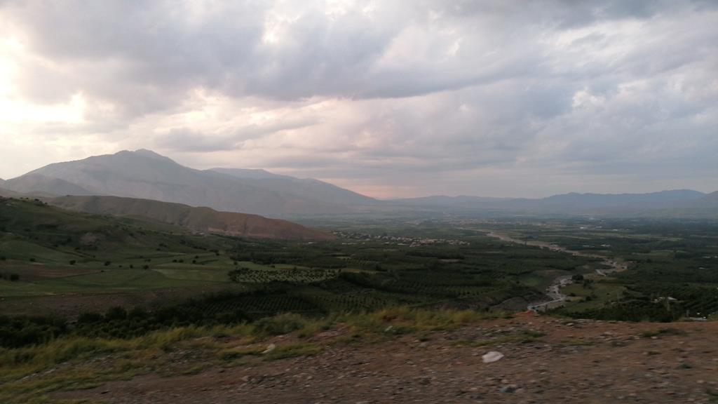 IMG_20250607_193400.jpg