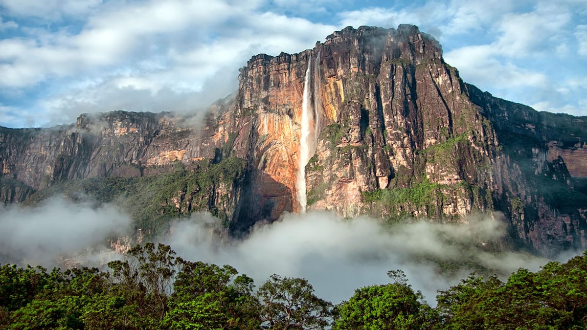 4430a9c300da-salto-del-angel-canaima-venezuela-t.jpg