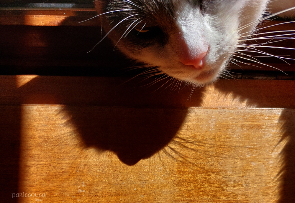 20250809_113721-web.jpg