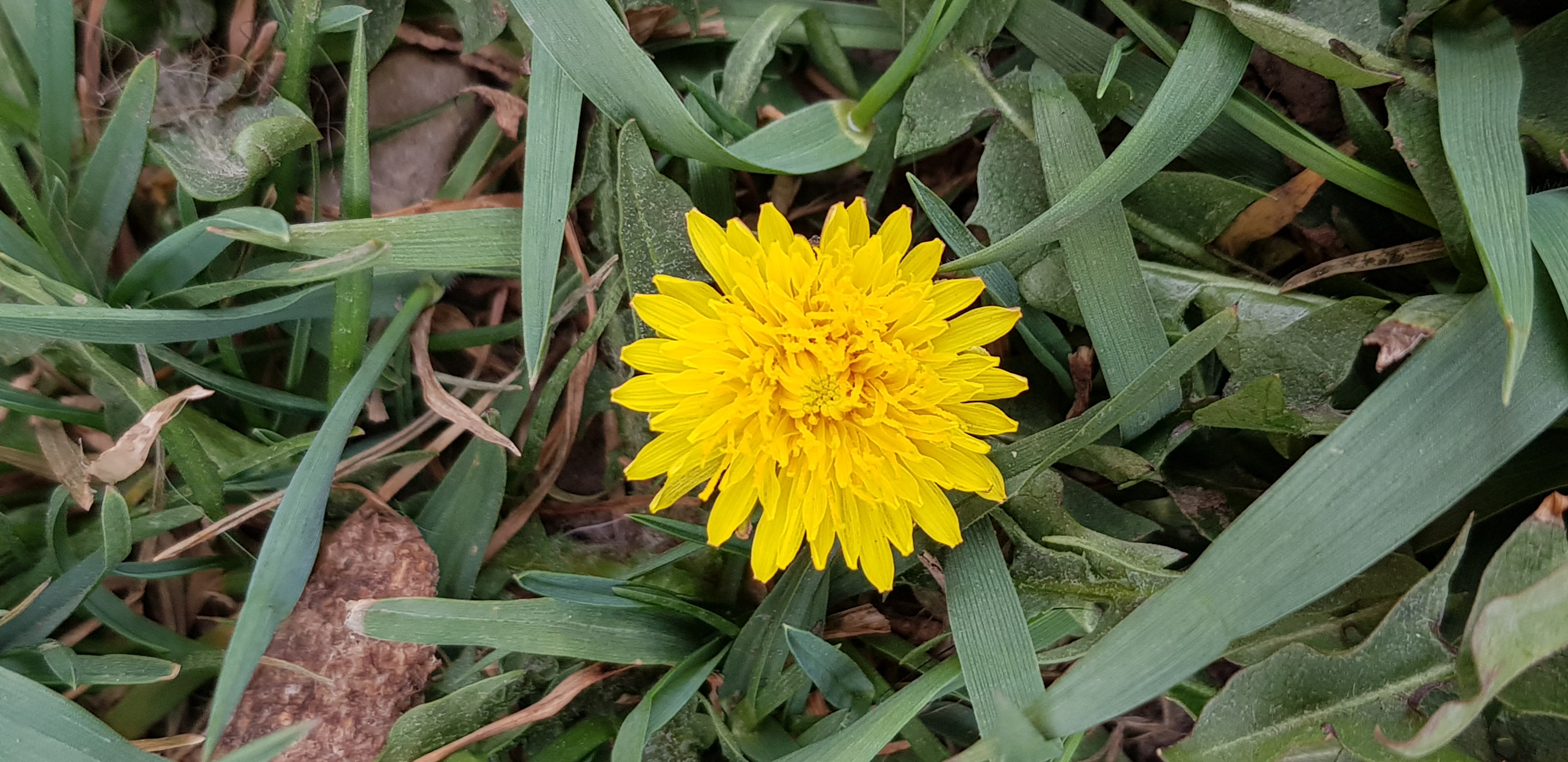 20220331_161635.jpg