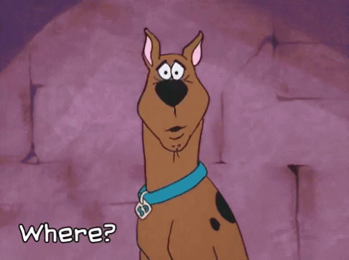 scoobydoowhere.gif