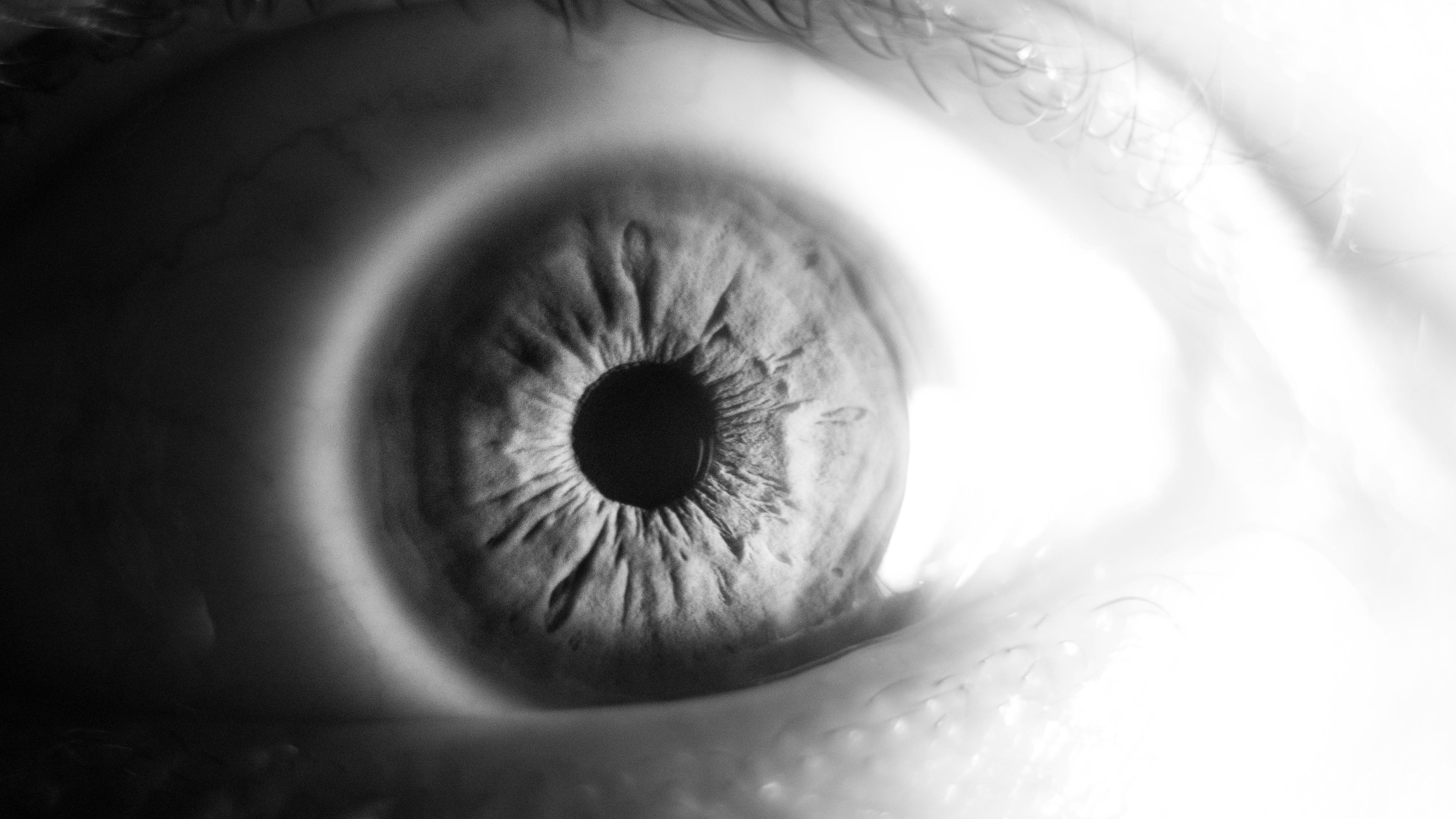 eye white.jpg