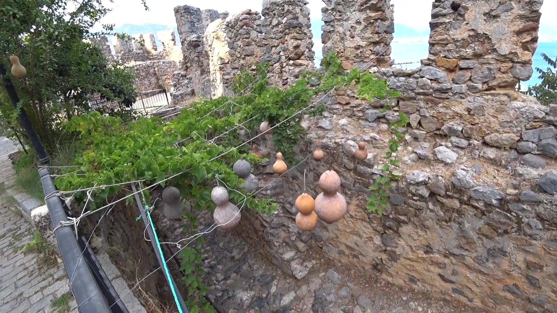 139.jpg