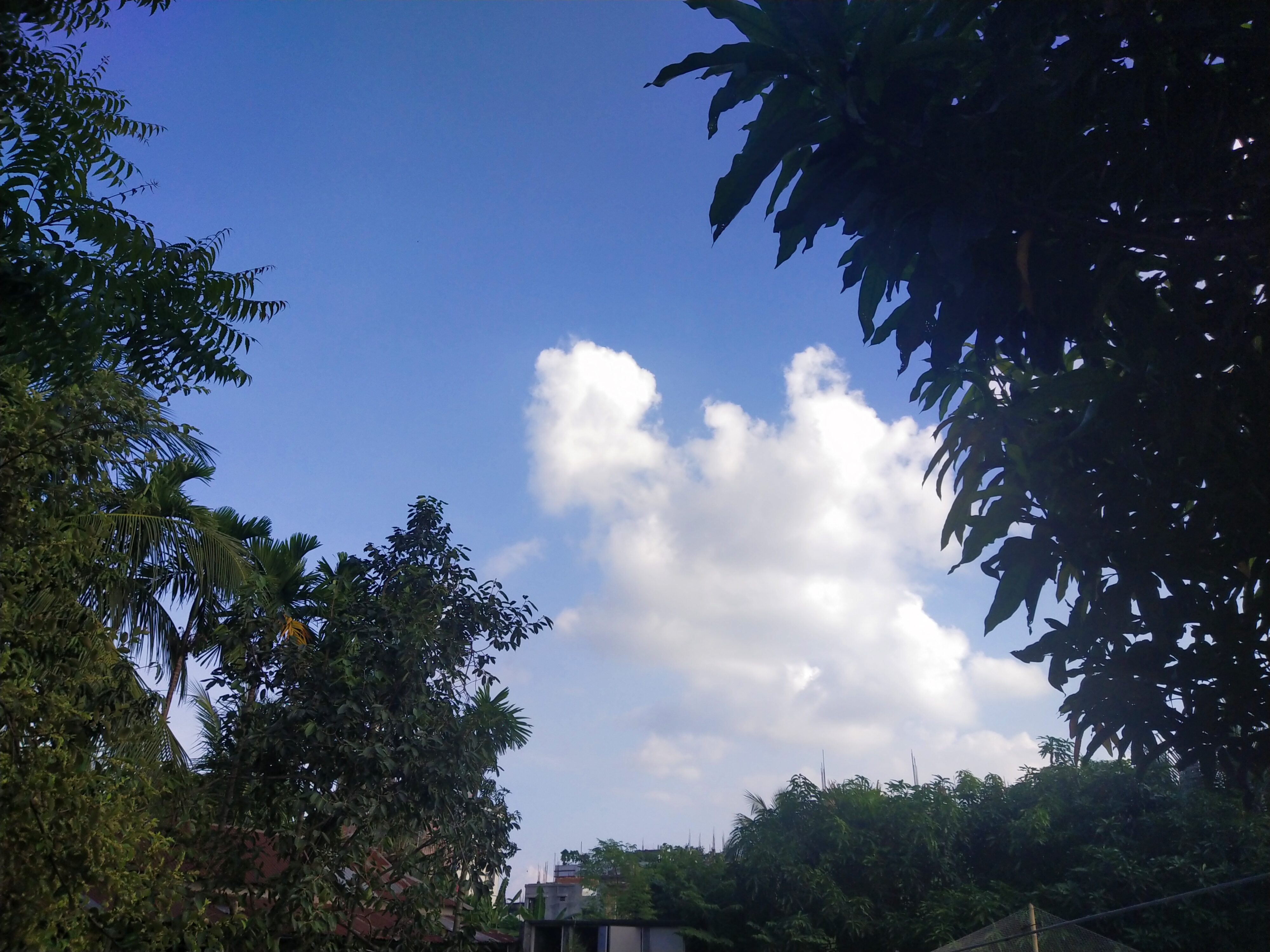 IMG_20231001_160416.jpg