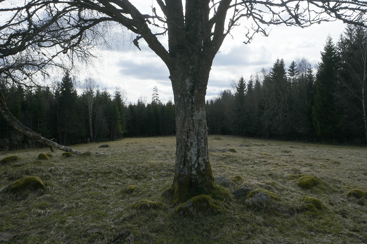 _SAM0442.JPG