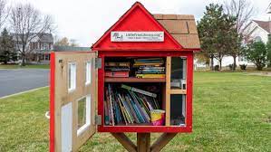 little free library imiage.jpg