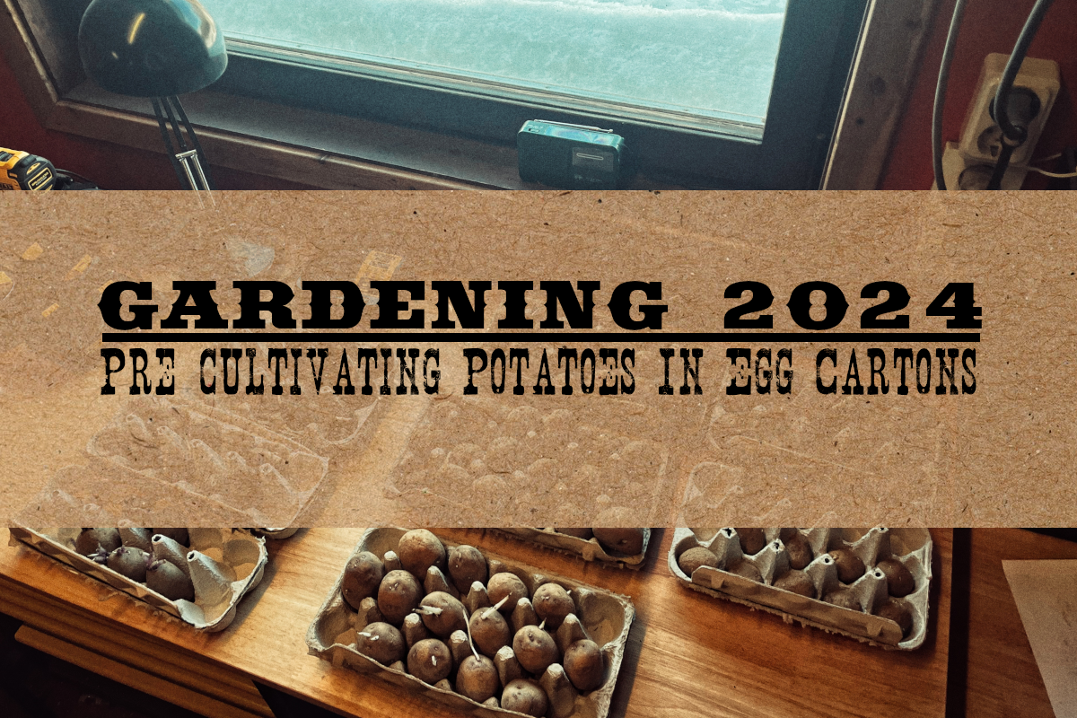 post-header-gardening-potatoes.png