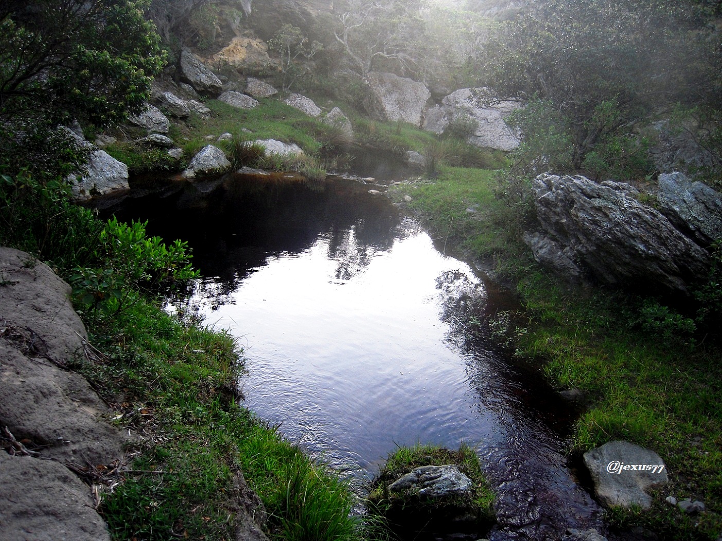 14-IMG-23.jpg