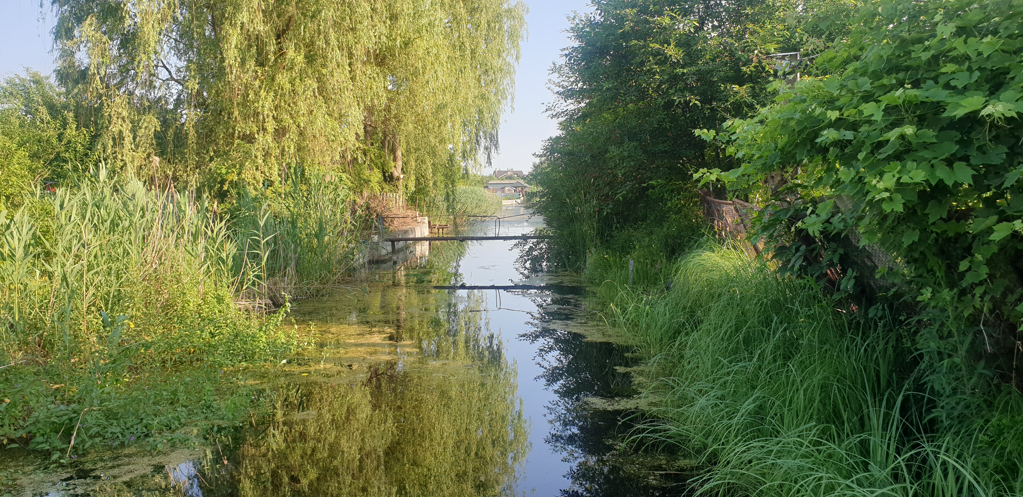 kanal ta dereva.jpg