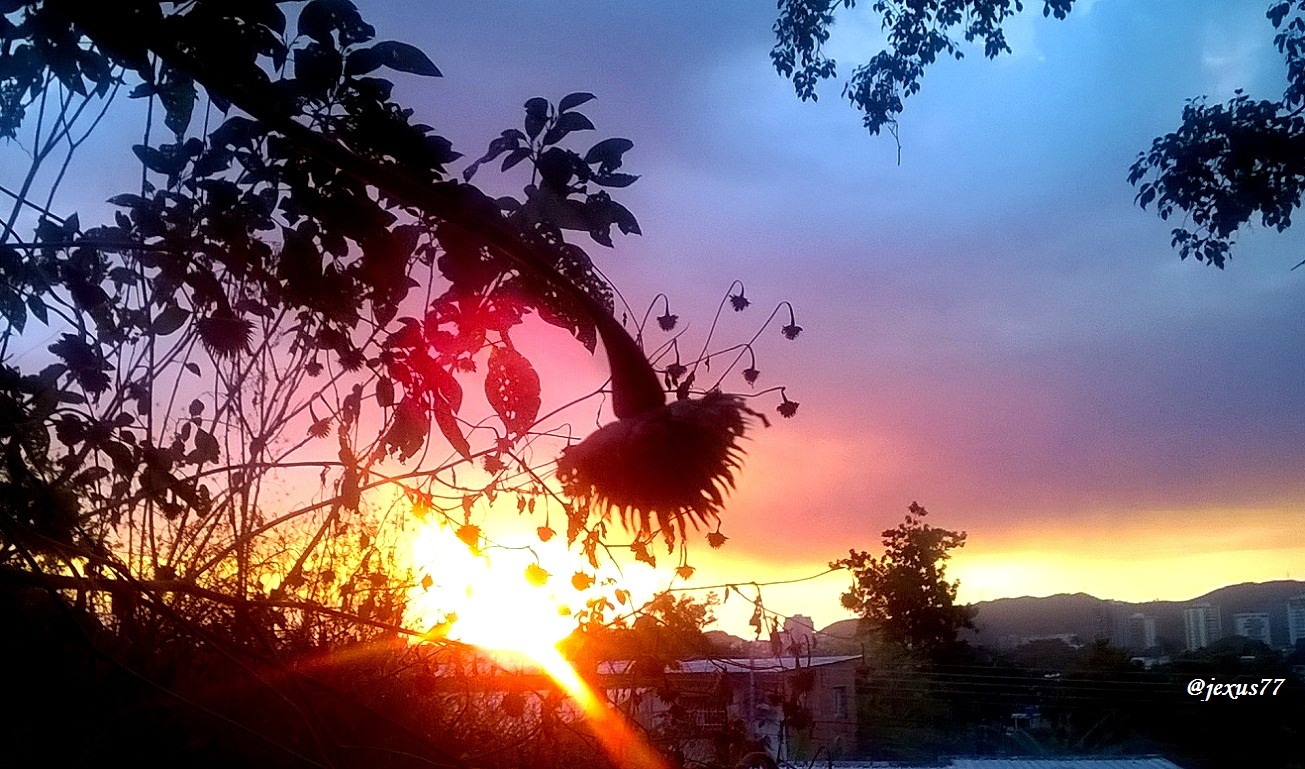 02-Atardecer.jpg