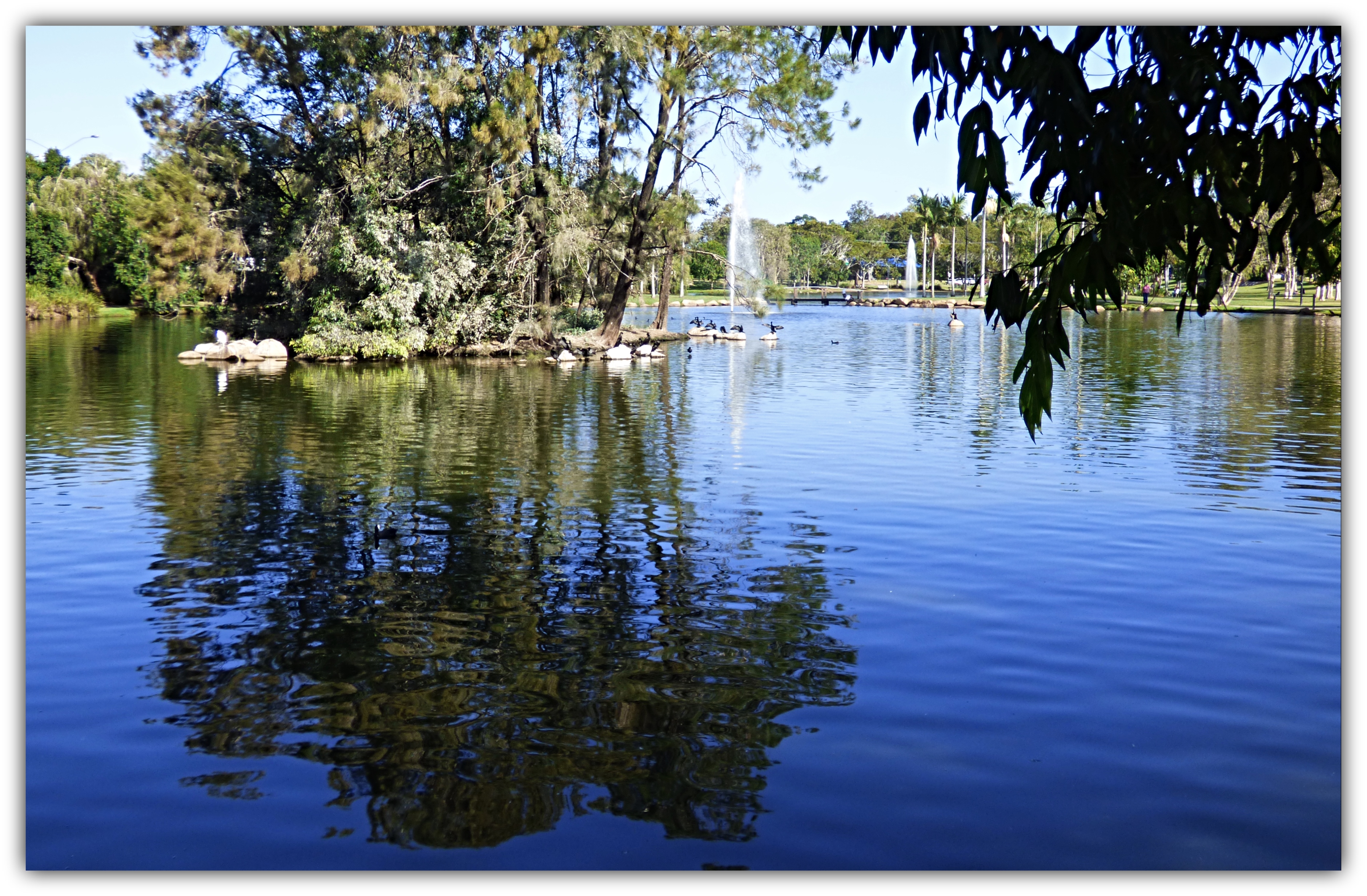 LAKE REFLECTIONS.jpg