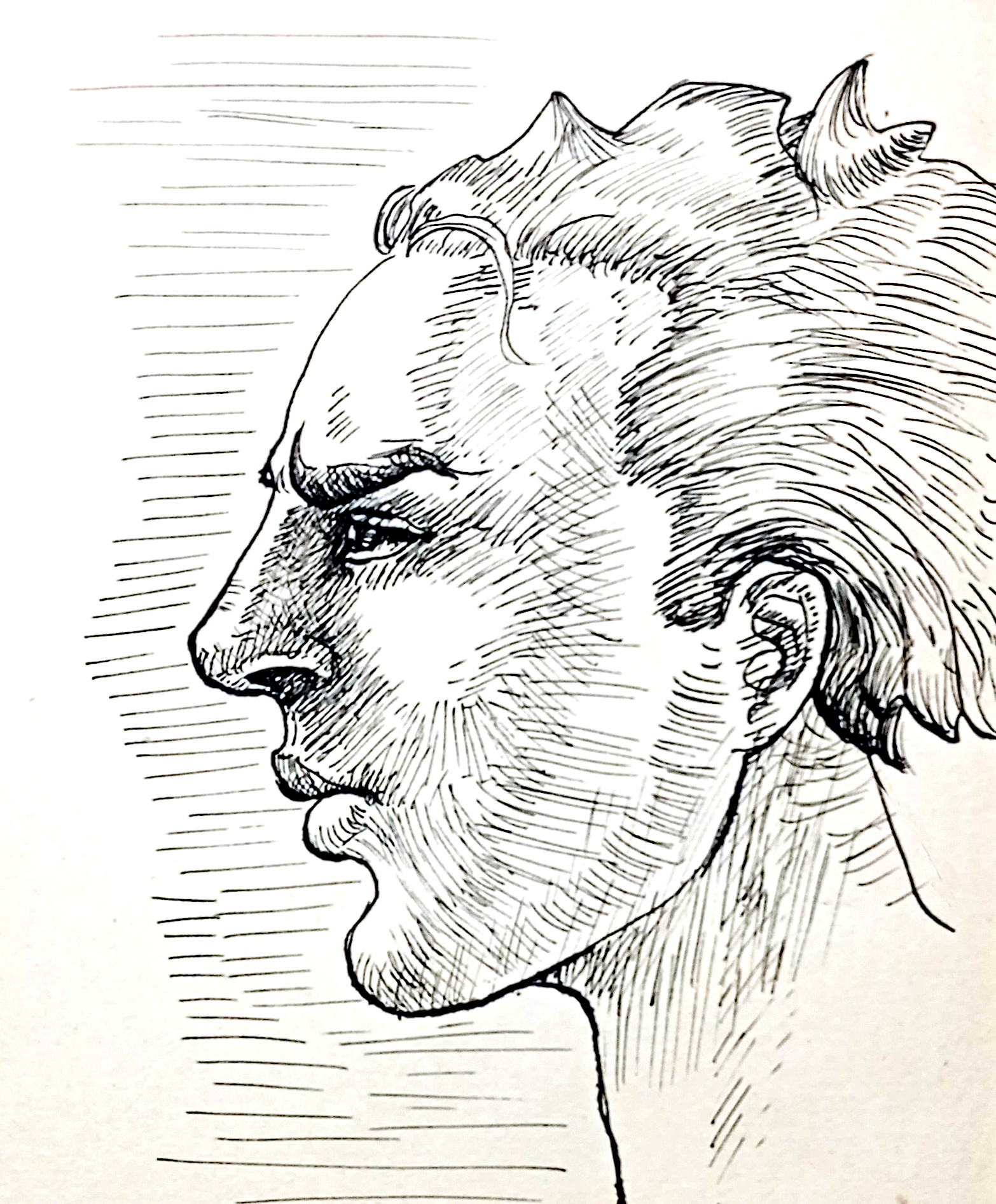 1746300970421.jpg