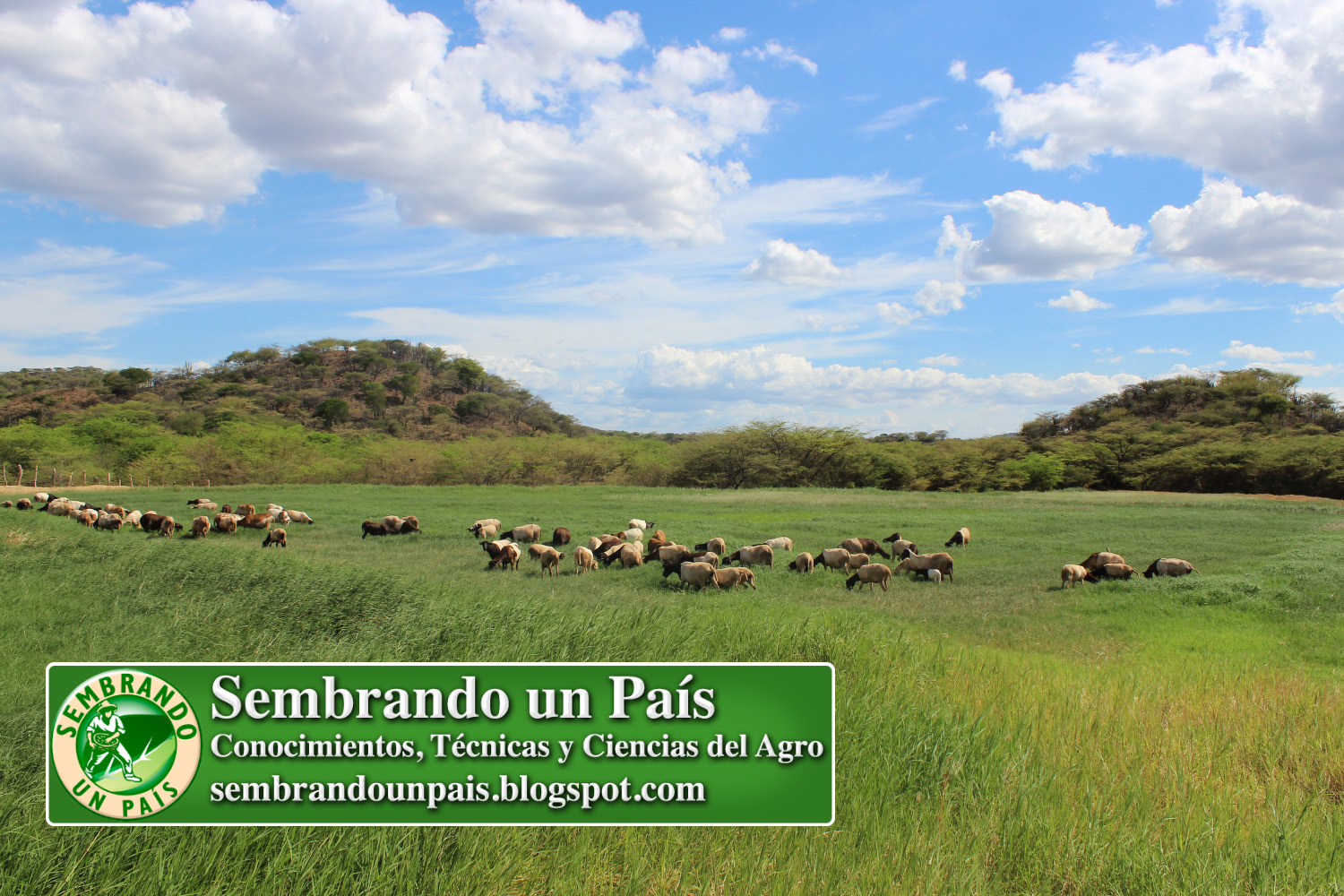 Venezuela Agropecuaria 3 NVO BANNER.jpg