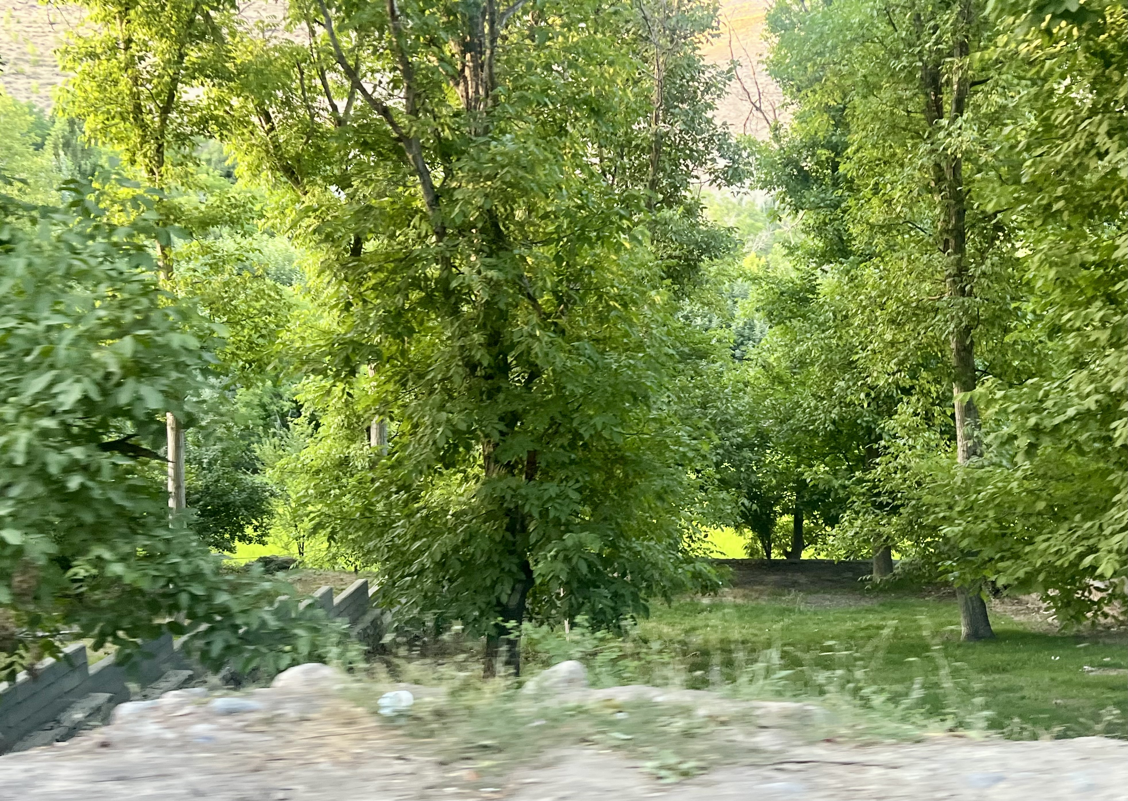 IMG_5170.jpeg