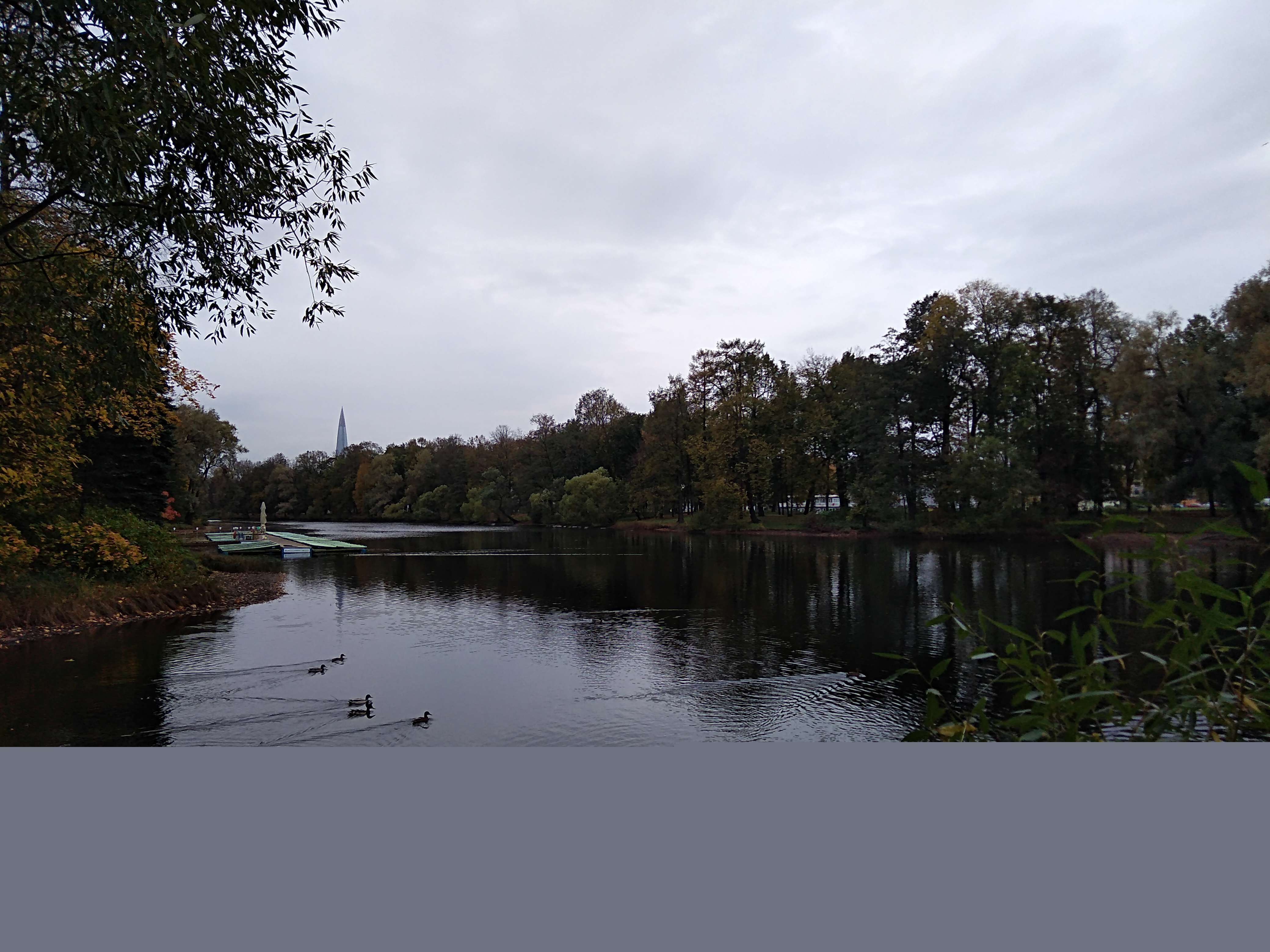 IMG_20201006_120209.jpg