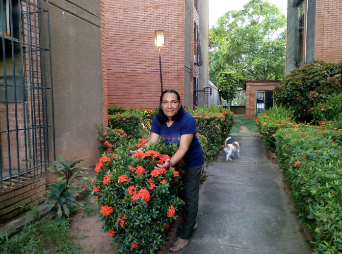 Ixora.png