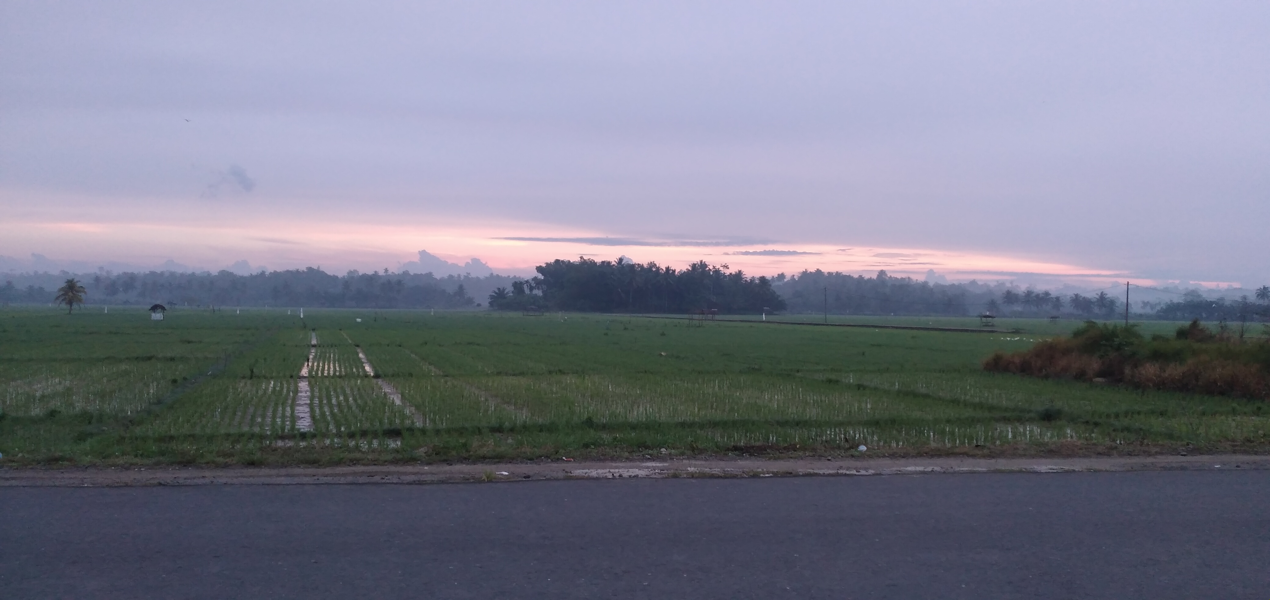 20230213_064904.jpg