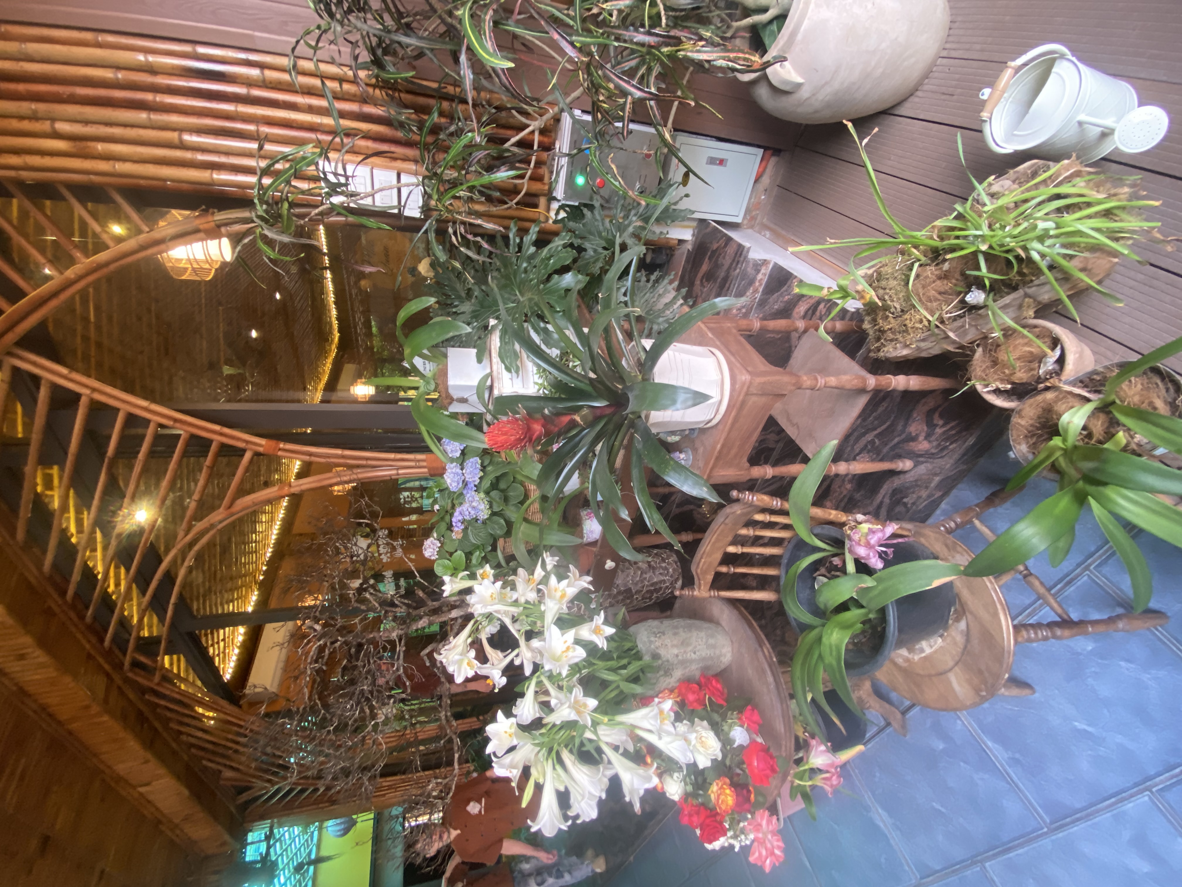 IMG_5337.jpeg