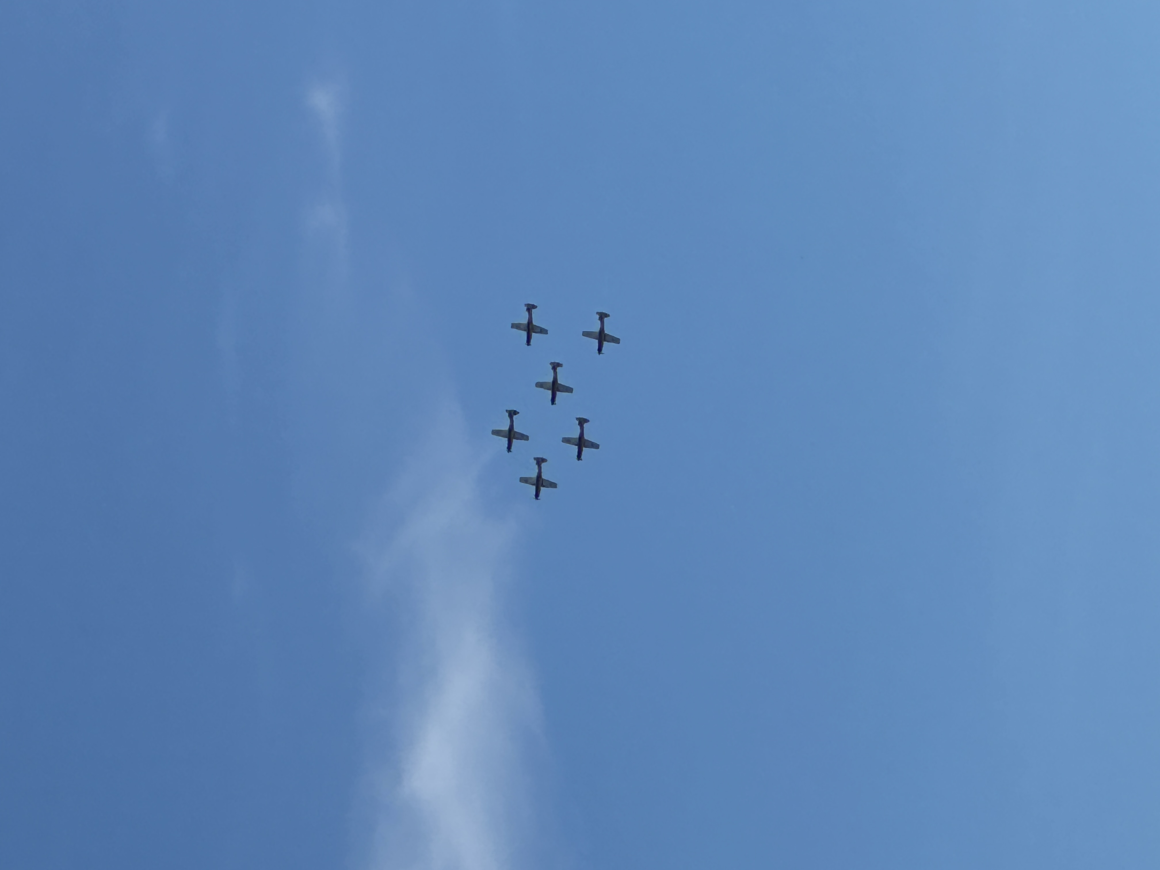 IMG_8722.jpeg