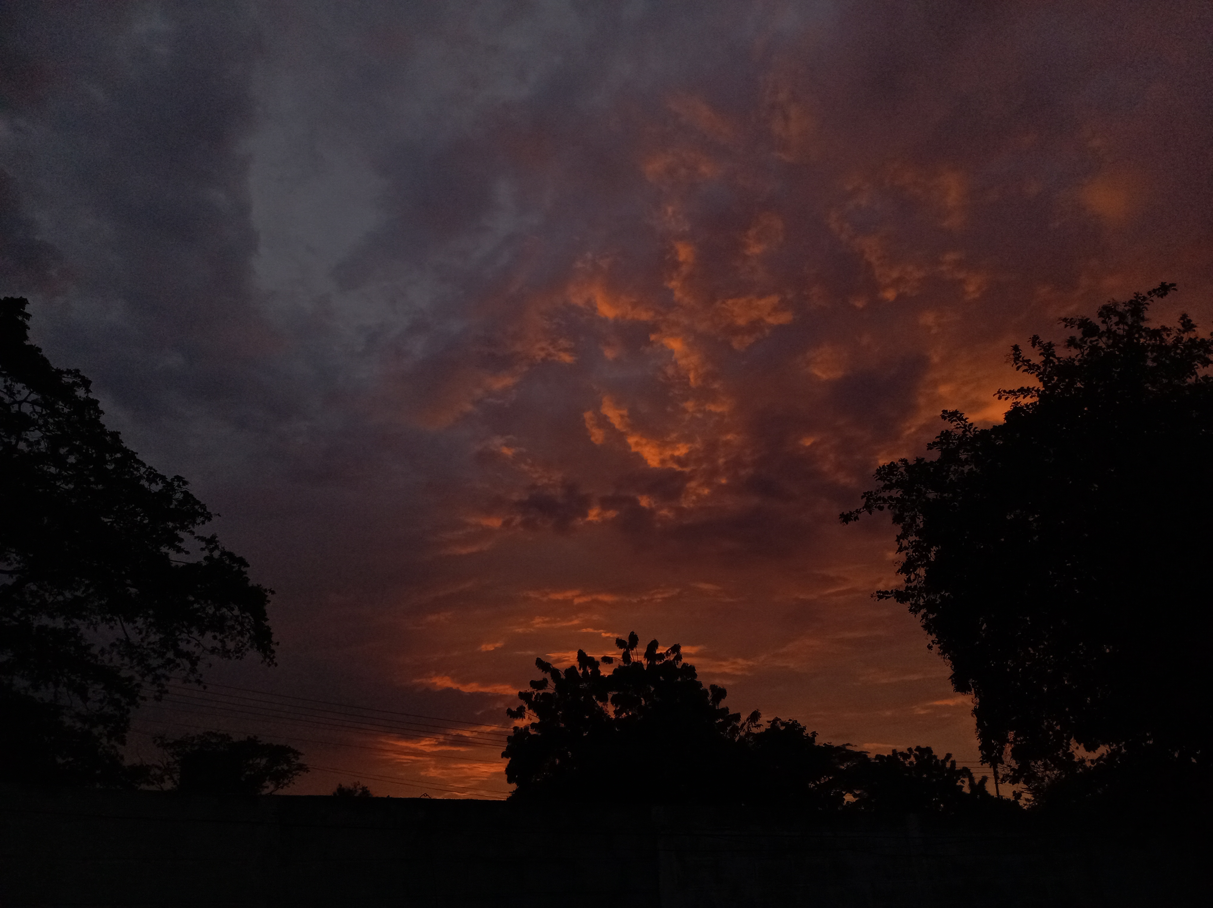 IMG_20250807_184610_1.jpg