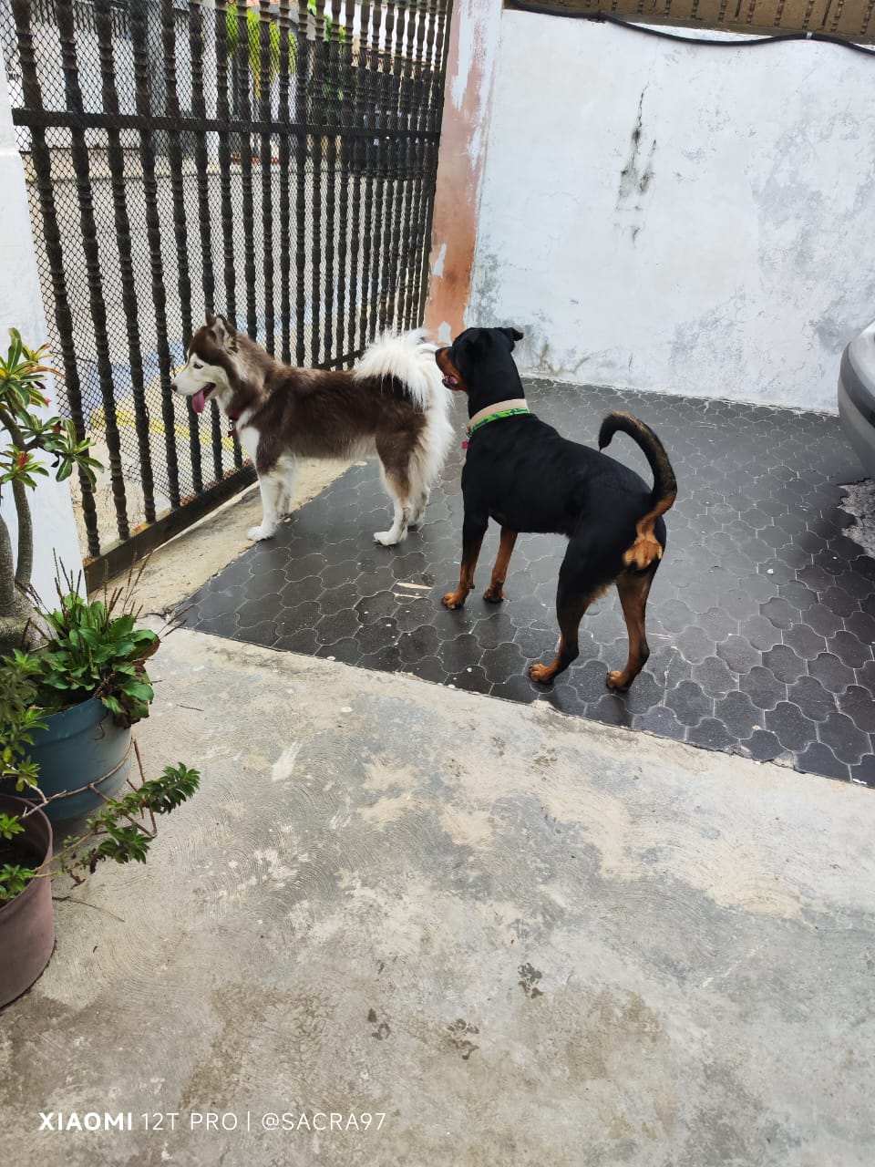 Sin título-3.jpg