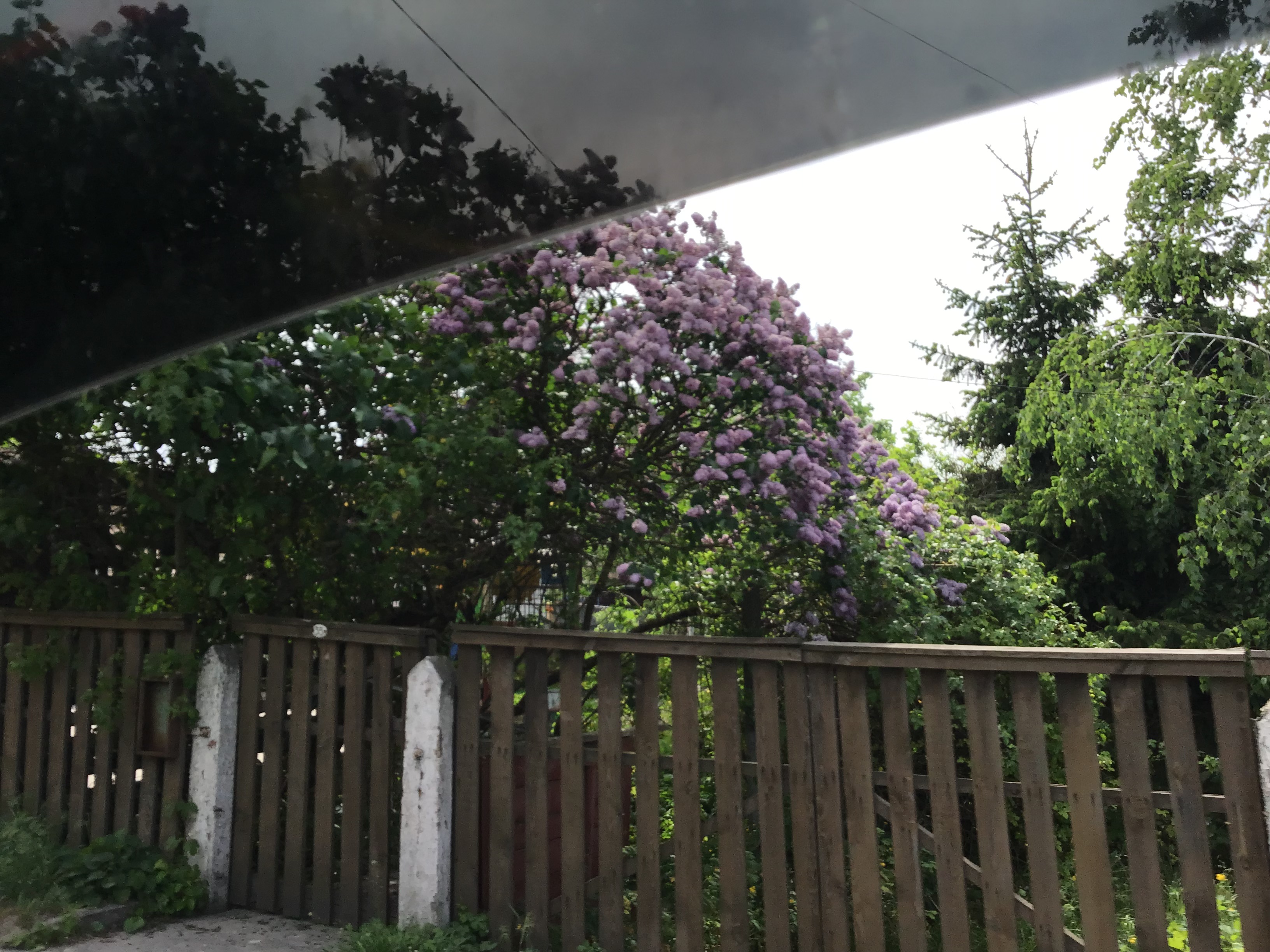 IMG_6901.jpeg