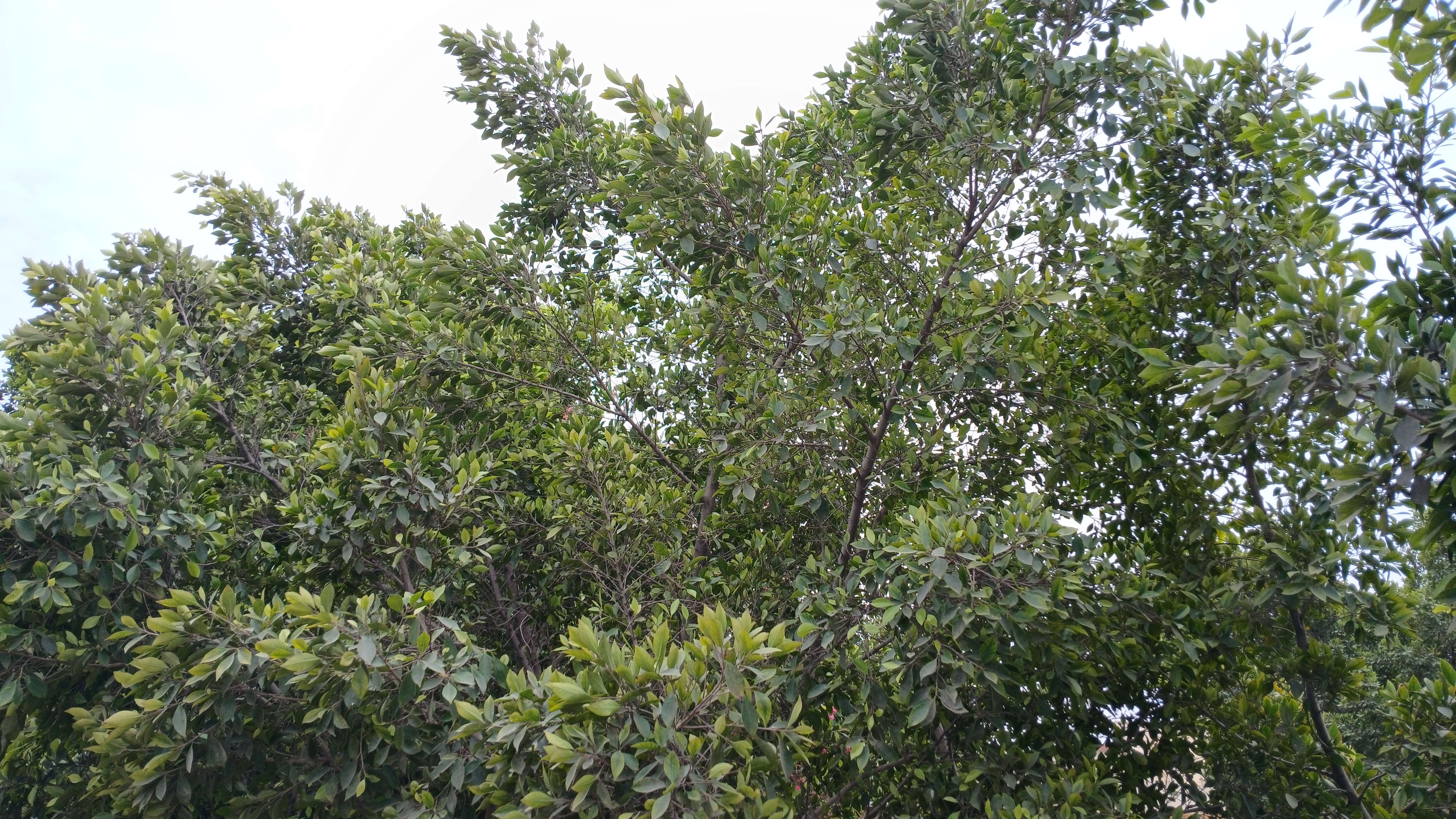 20250423_115918_copy_6683x3761.jpg