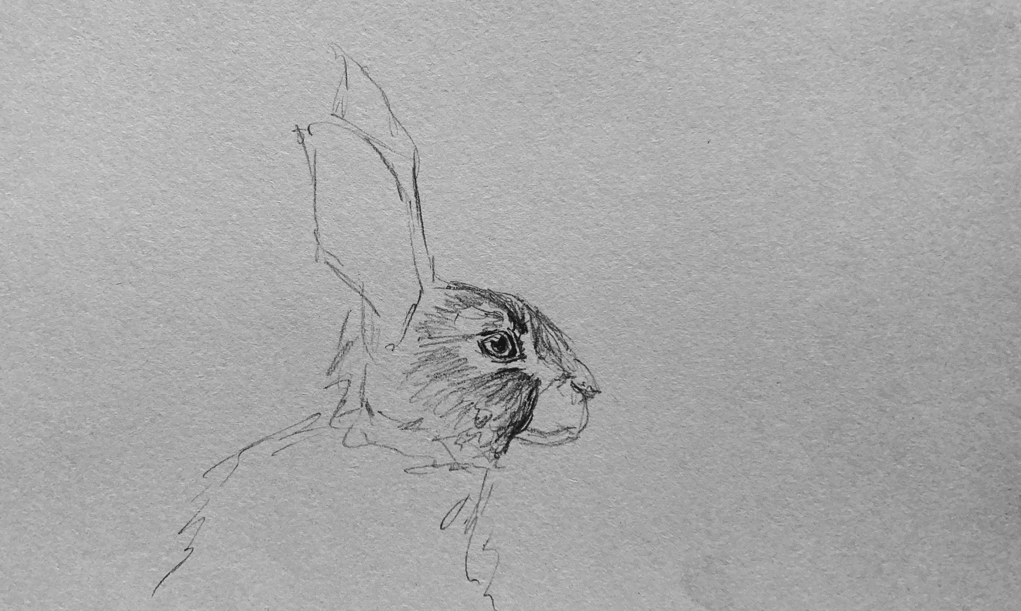 IMG_7582.jpeg