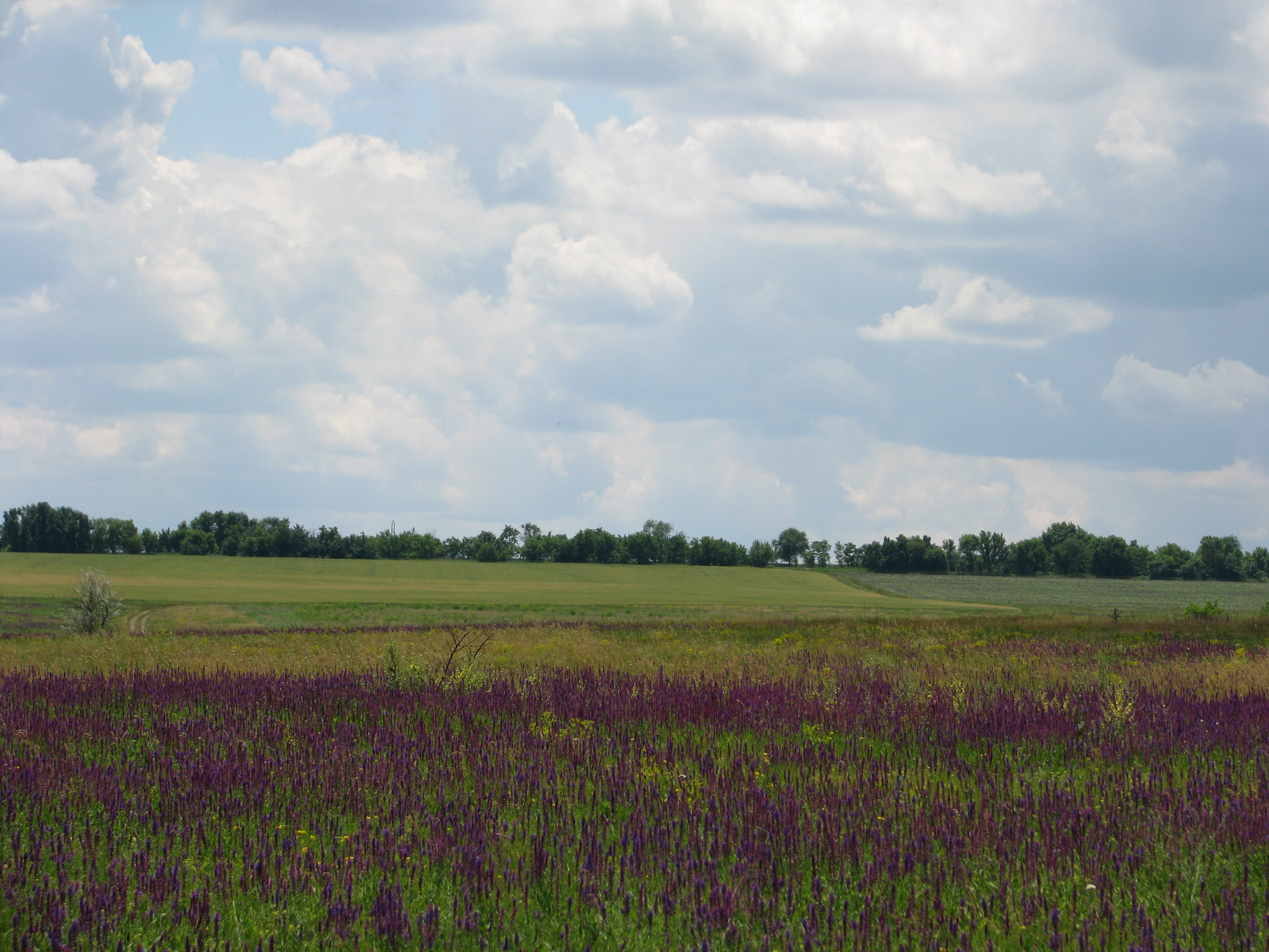 2009.06.14 12.17.59.jpg