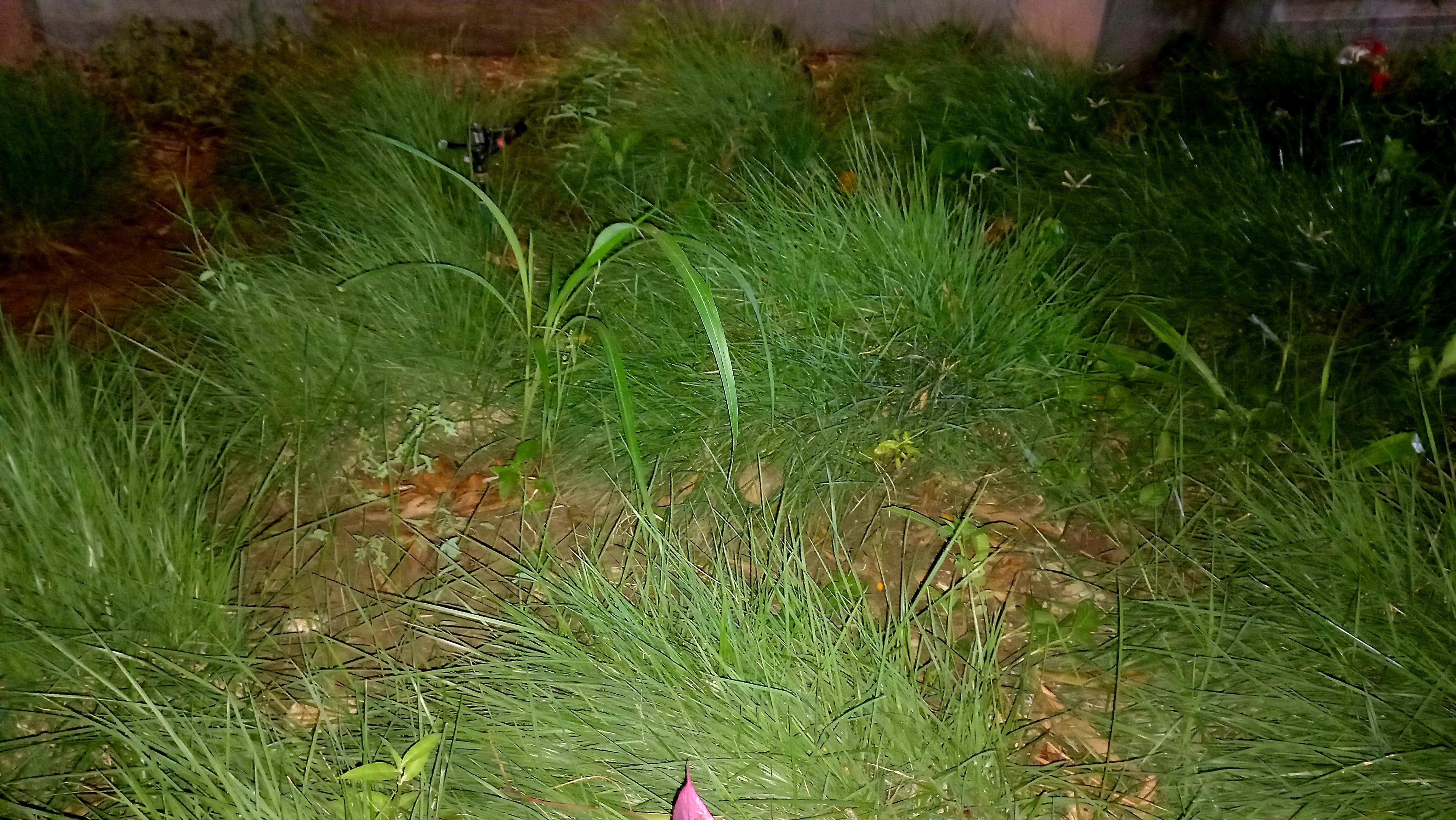 20250502_192749.jpg