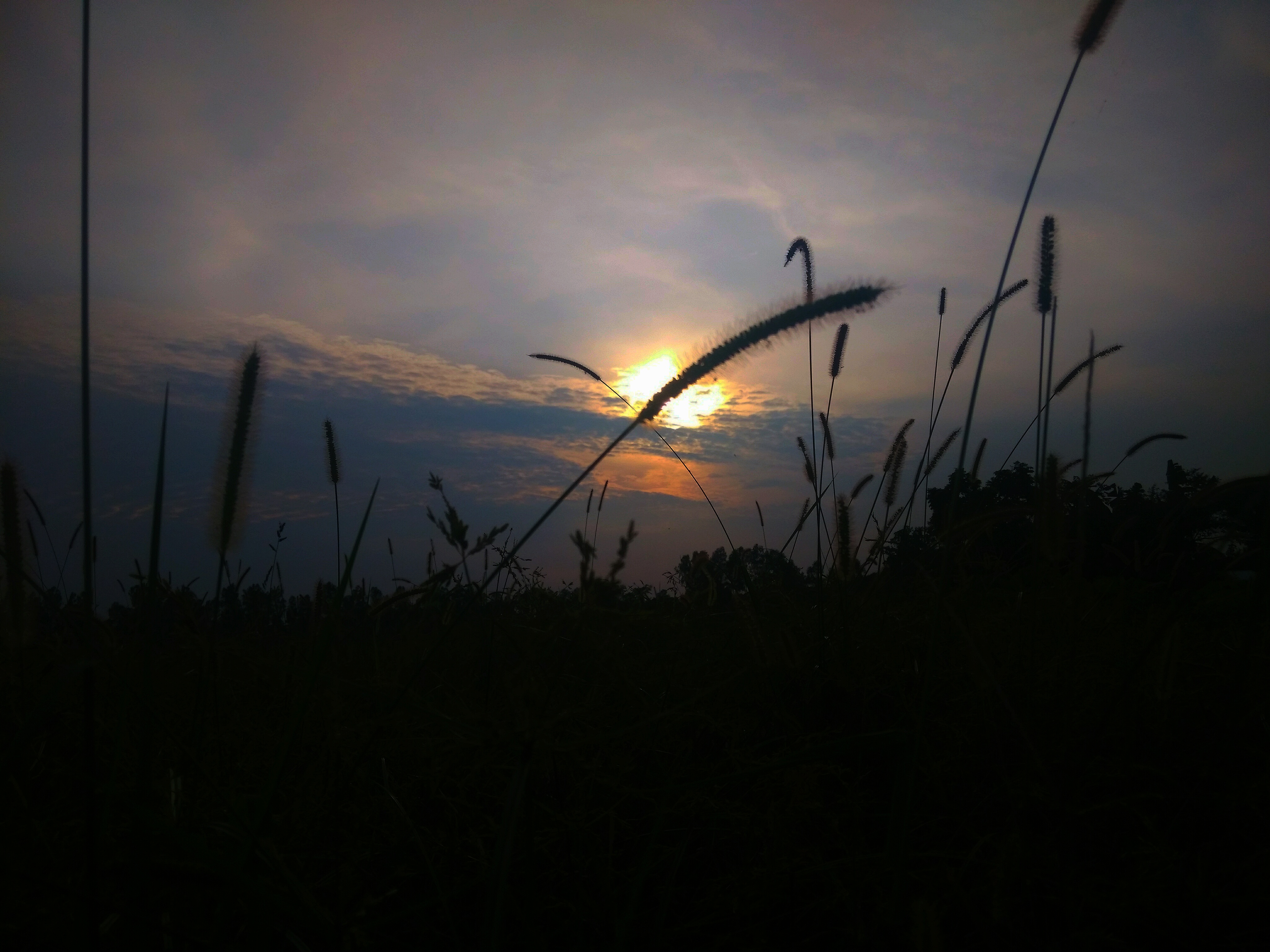 IMG_20200704_154438.jpg