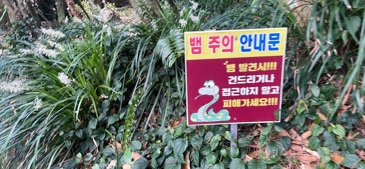 KakaoTalk_20250829_213303704.jpg