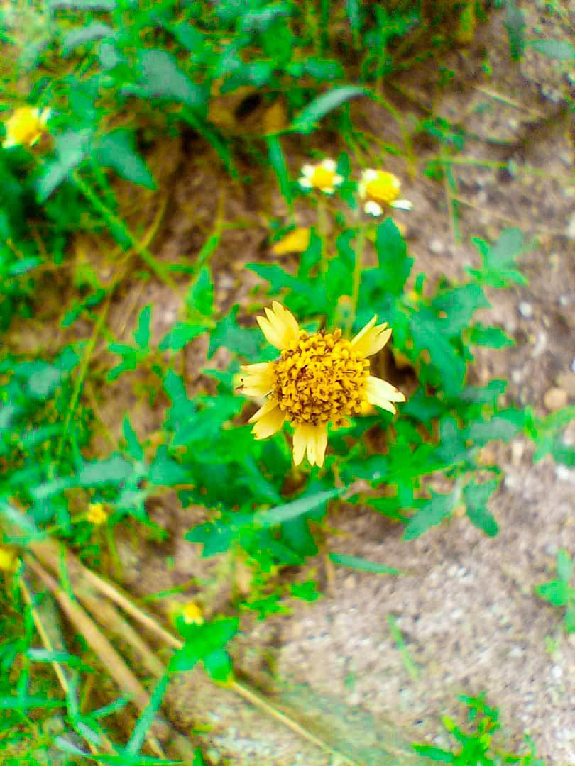 IMG-20210904-WA0022.jpg