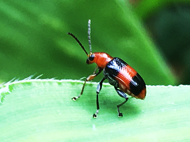 IMG_4704a.png