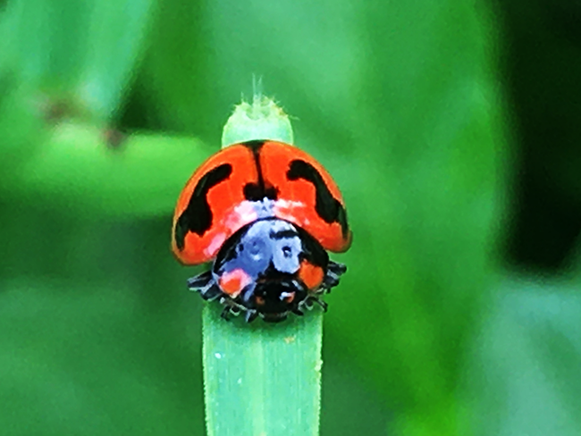 IMG_1407a.png