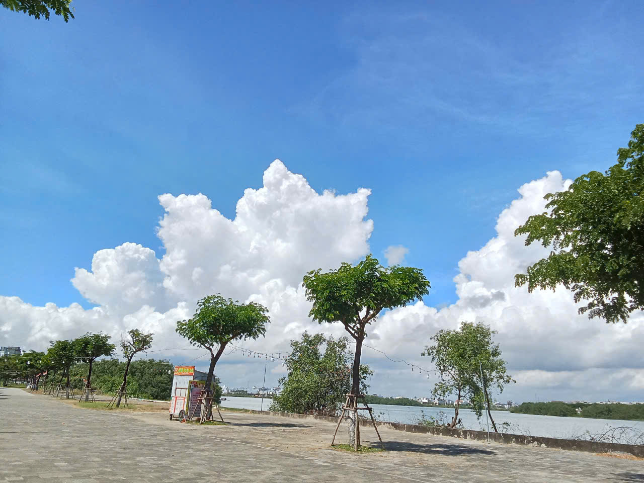 sunny day river.jpg