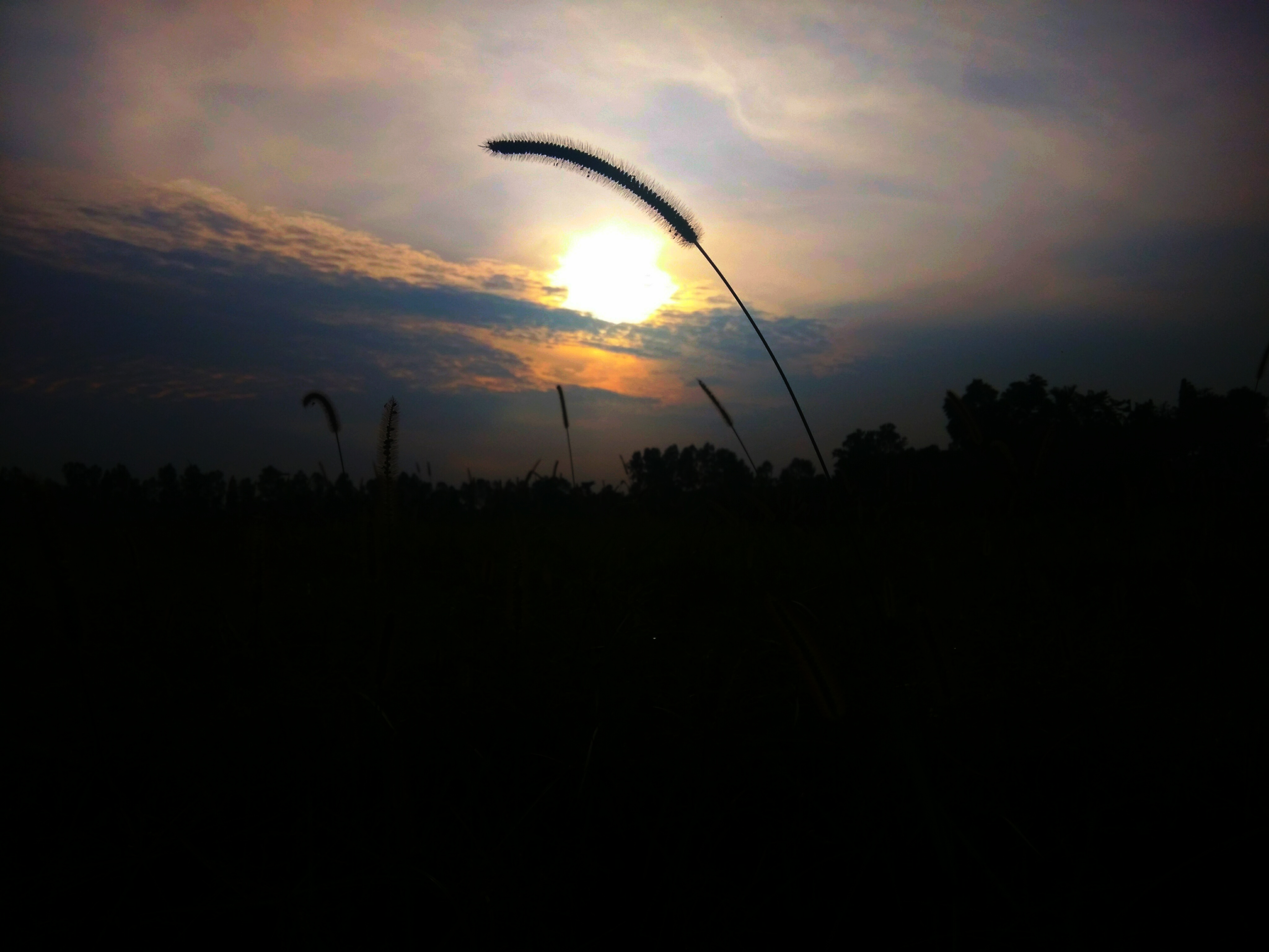IMG_20200704_154512.jpg