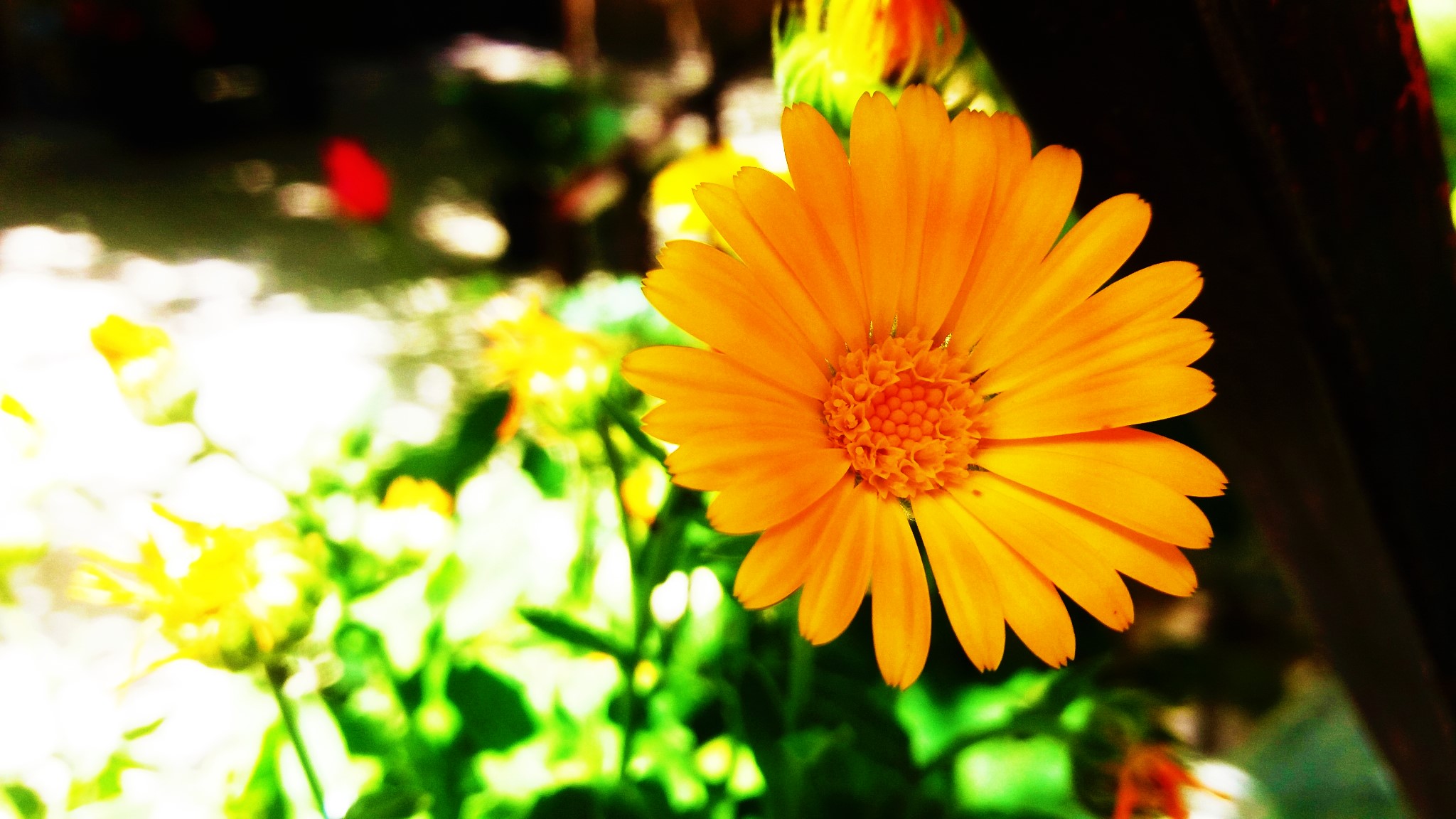 CYMERA_20200519_102134.jpg