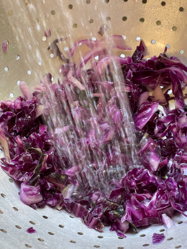 hivegarden-harvesting-red-cabbage-2.jpg