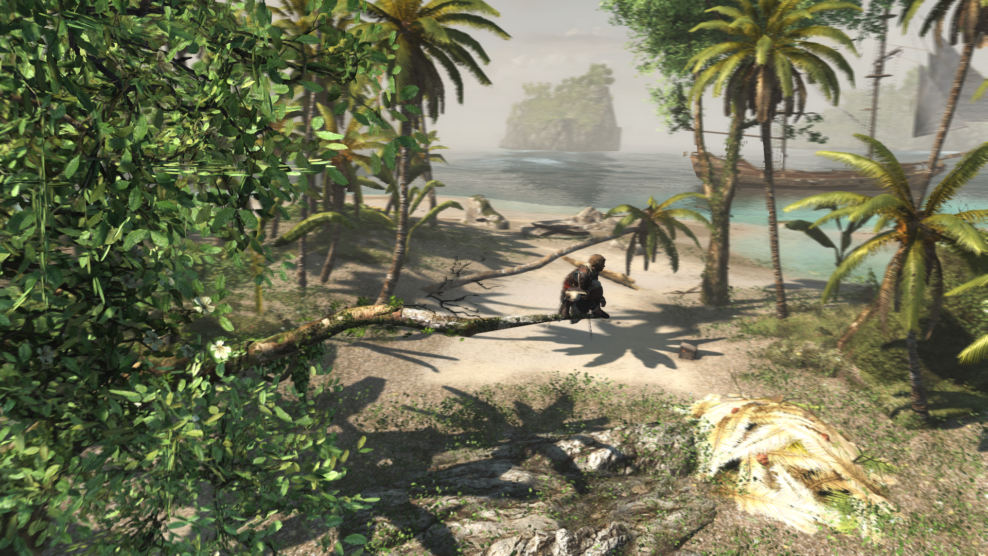 Assassin's Creed IV Black Flag 5_5_2022 7_58_00 PM.png