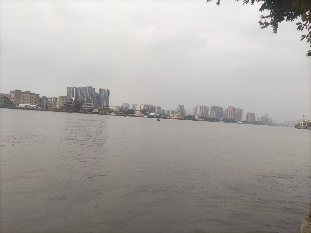 IMG_20221005_112552.jpg