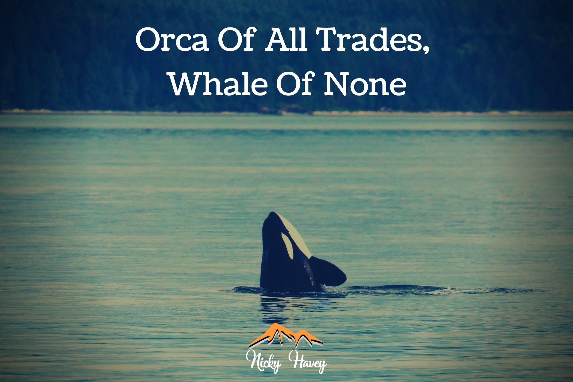 Orca of all trades.jpg