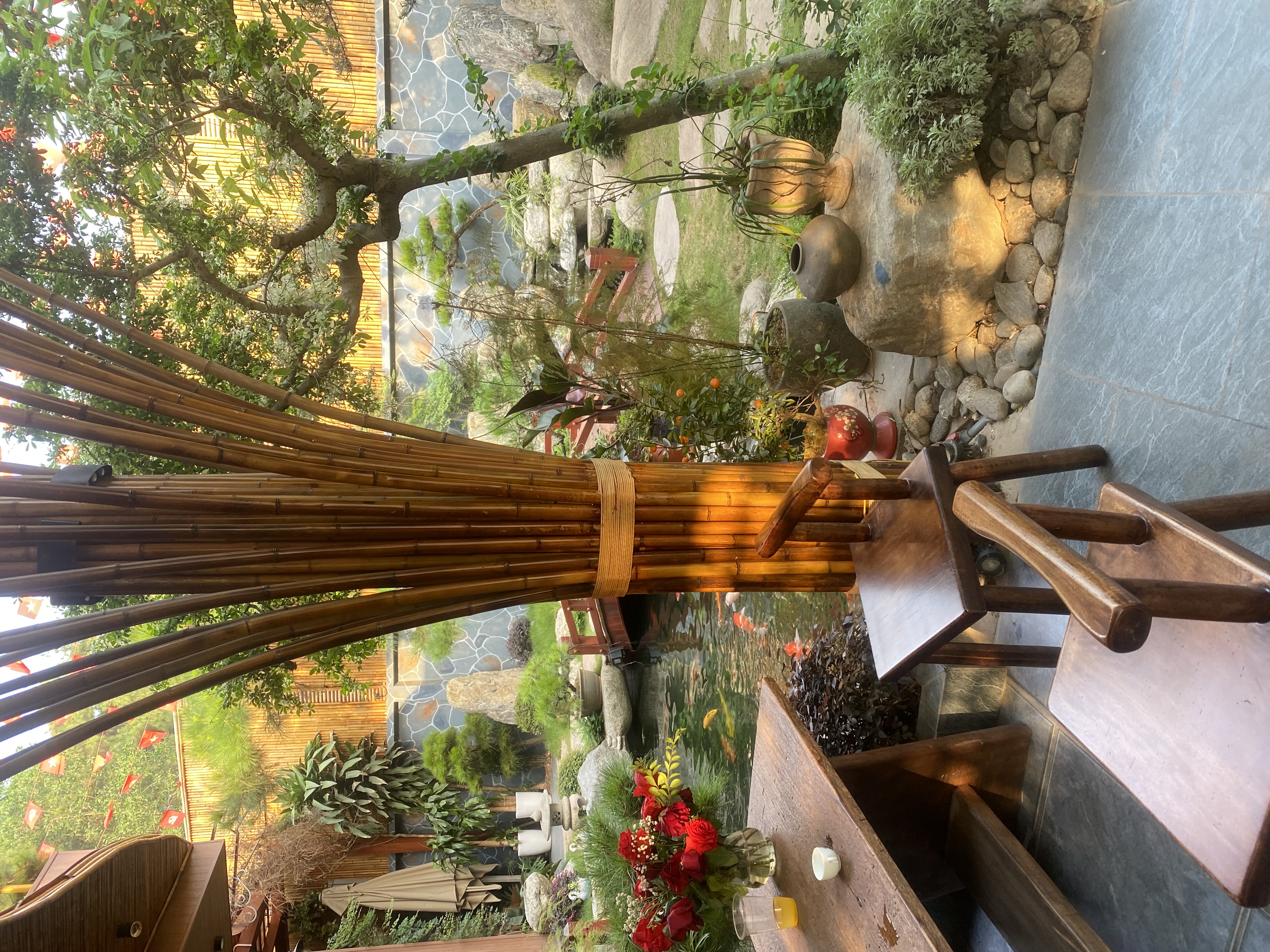 IMG_5319.jpeg