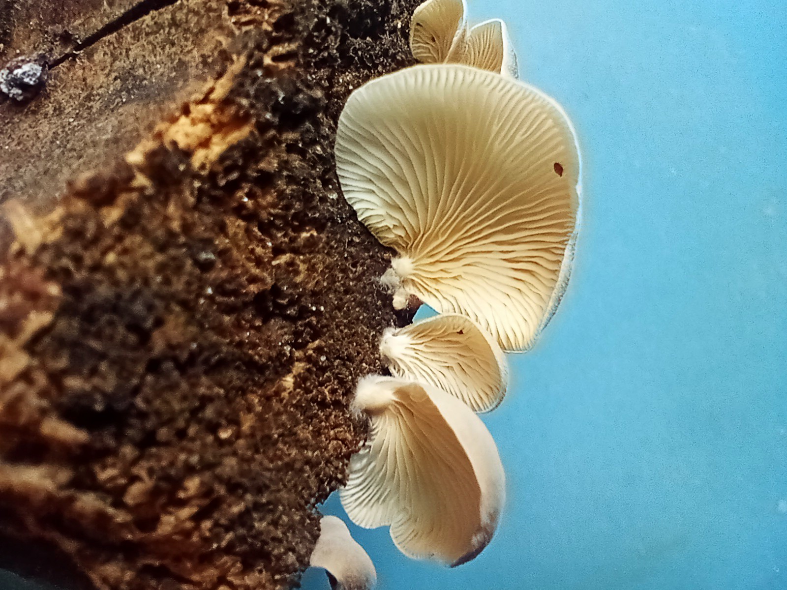 IMG20220917102000_01~2.jpg