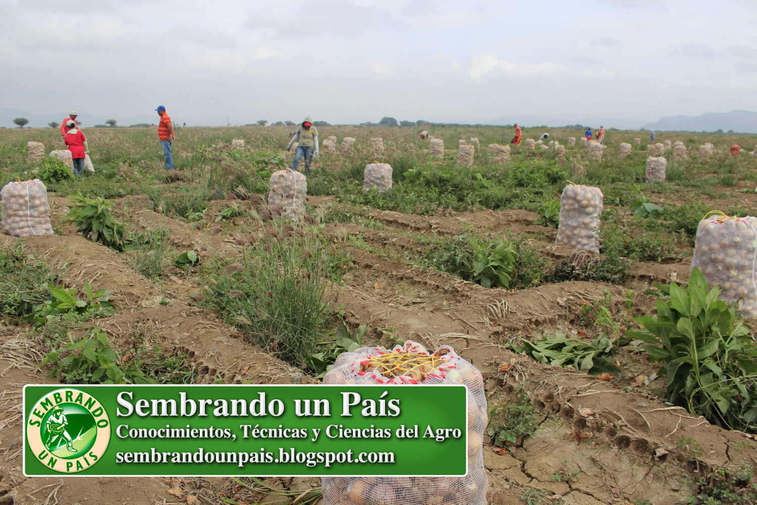 Venezuela Agropecuaria 2 NVO BANNER.jpg