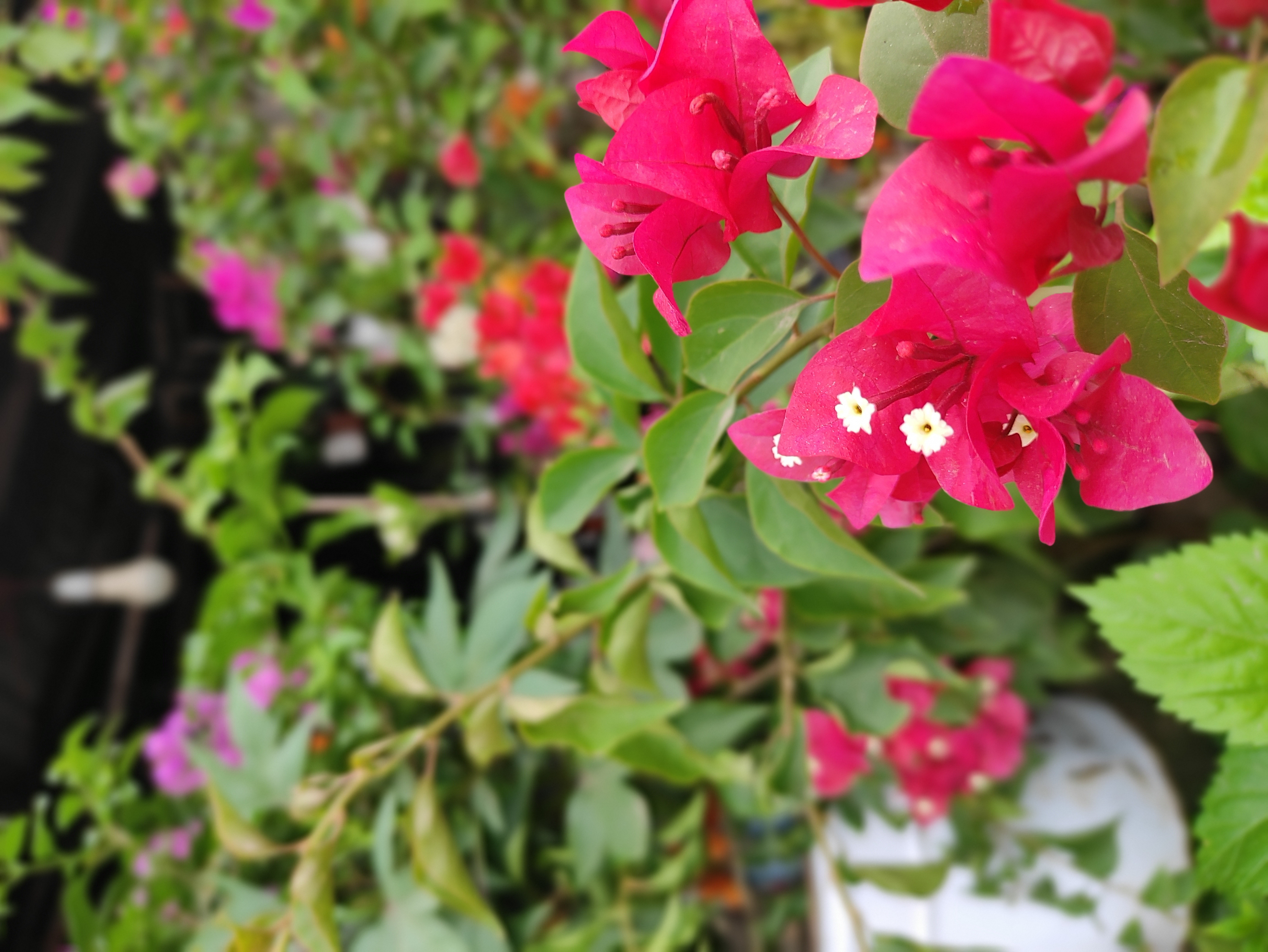 IMG_20250707_153502.jpg