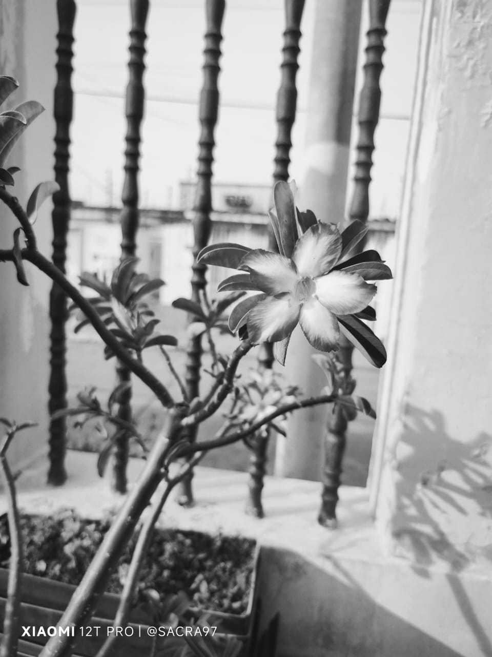 Sin título-3.jpg