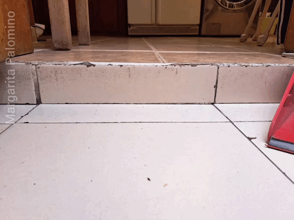 1000006146.gif
